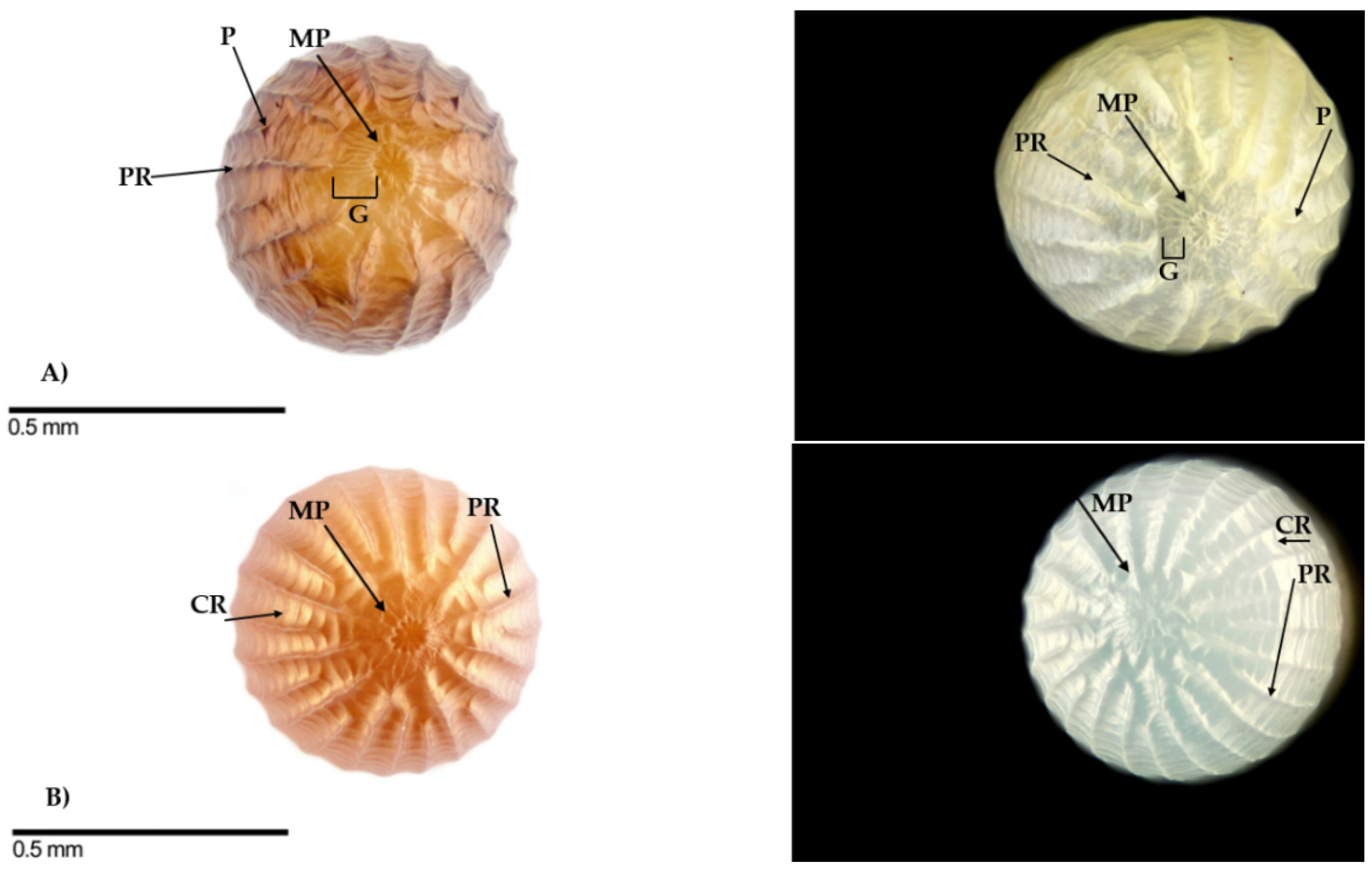 Agriculture 12 01440 g001 550