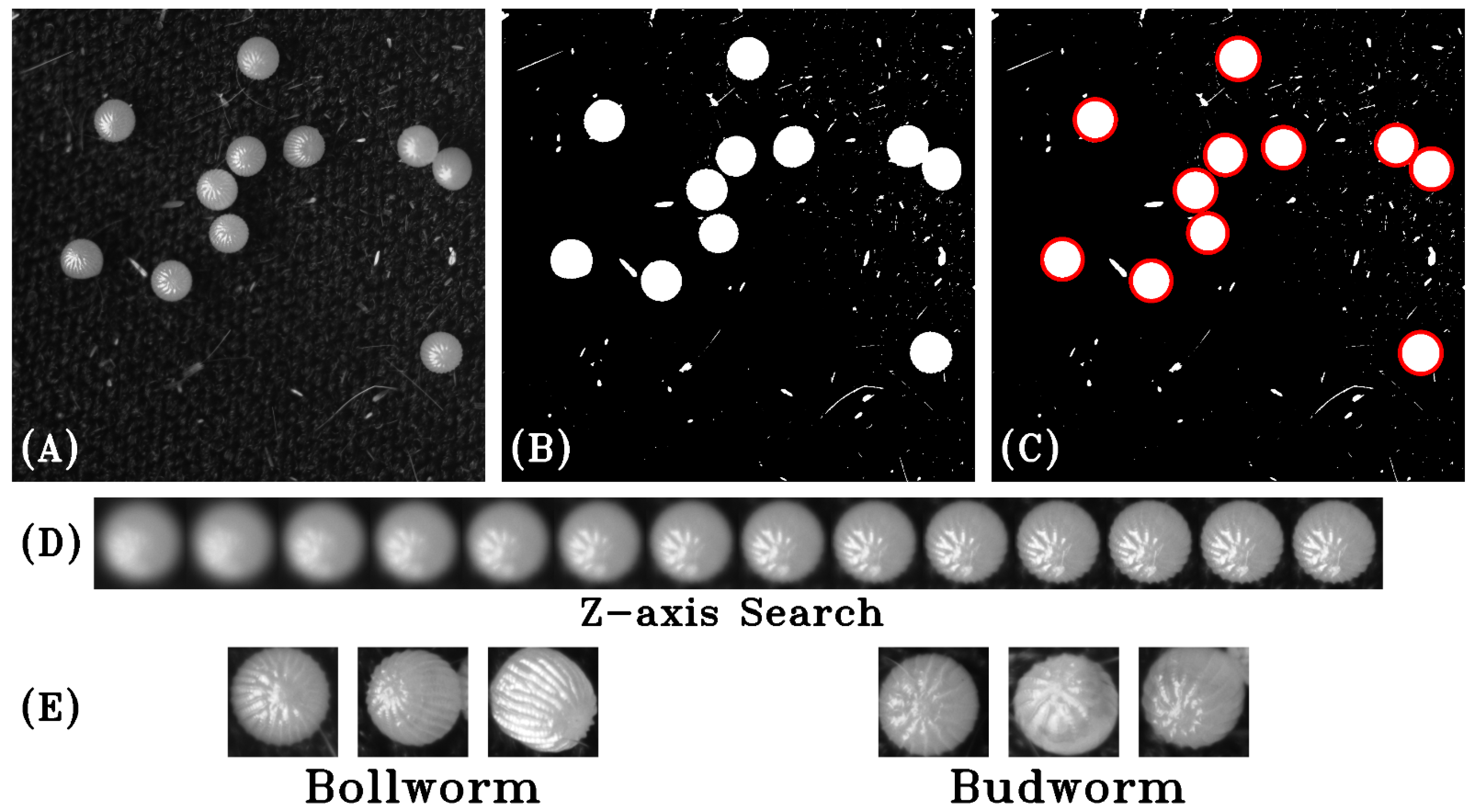 Agriculture 12 01440 g002 550
