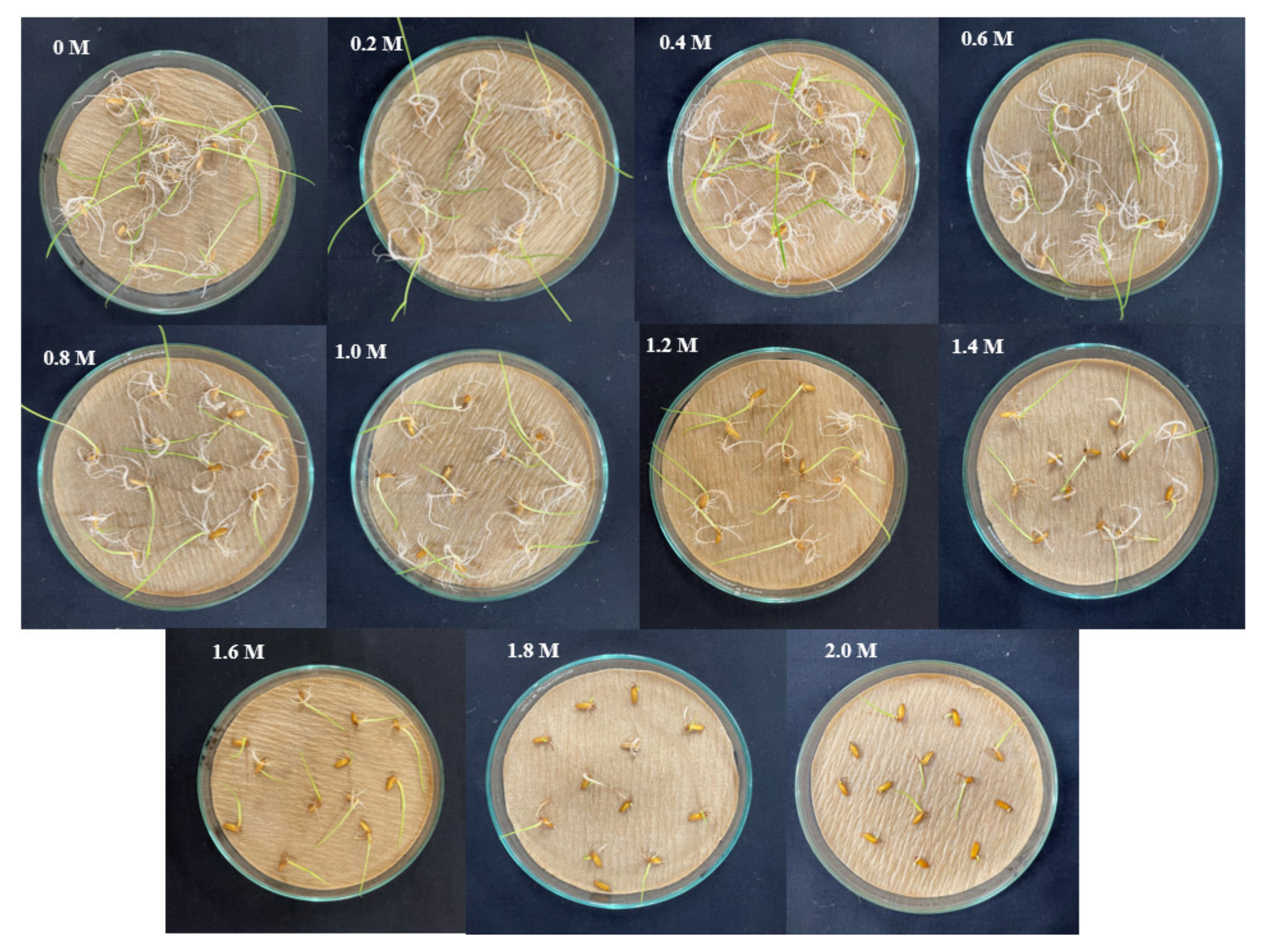 Agriculture 12 01451 g006 550