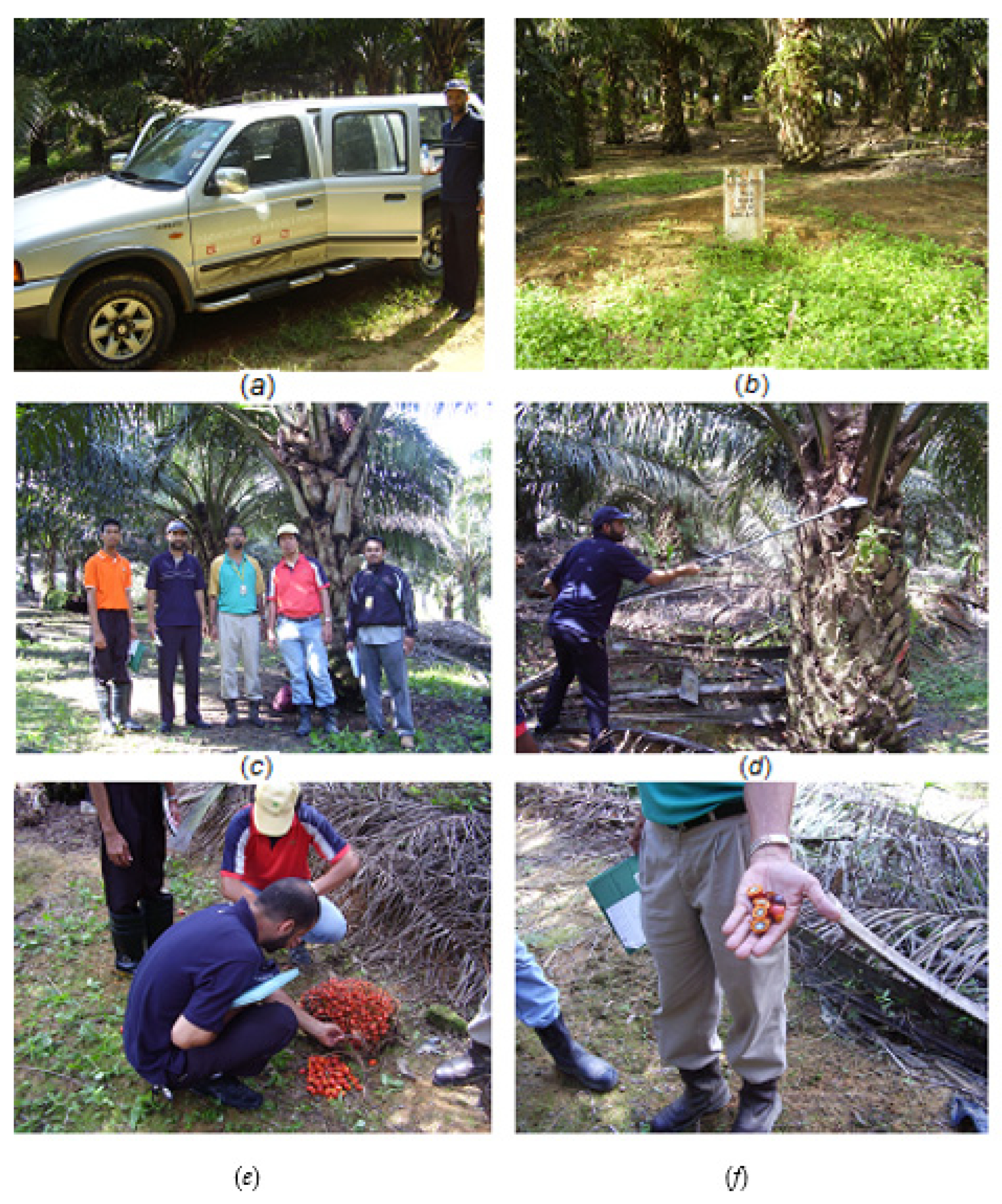 Agriculture 12 01461 g001 550