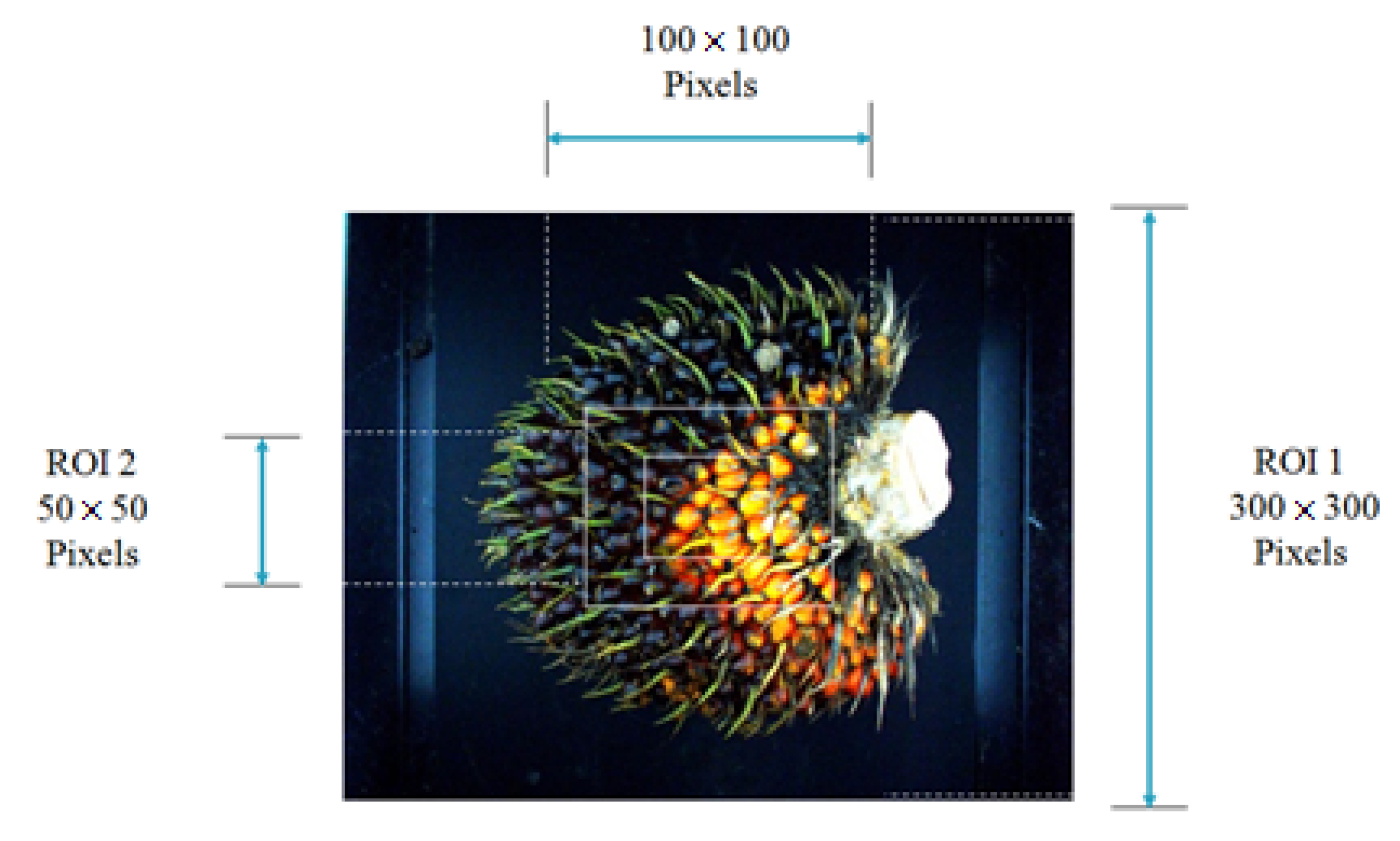 Agriculture 12 01461 g006 550