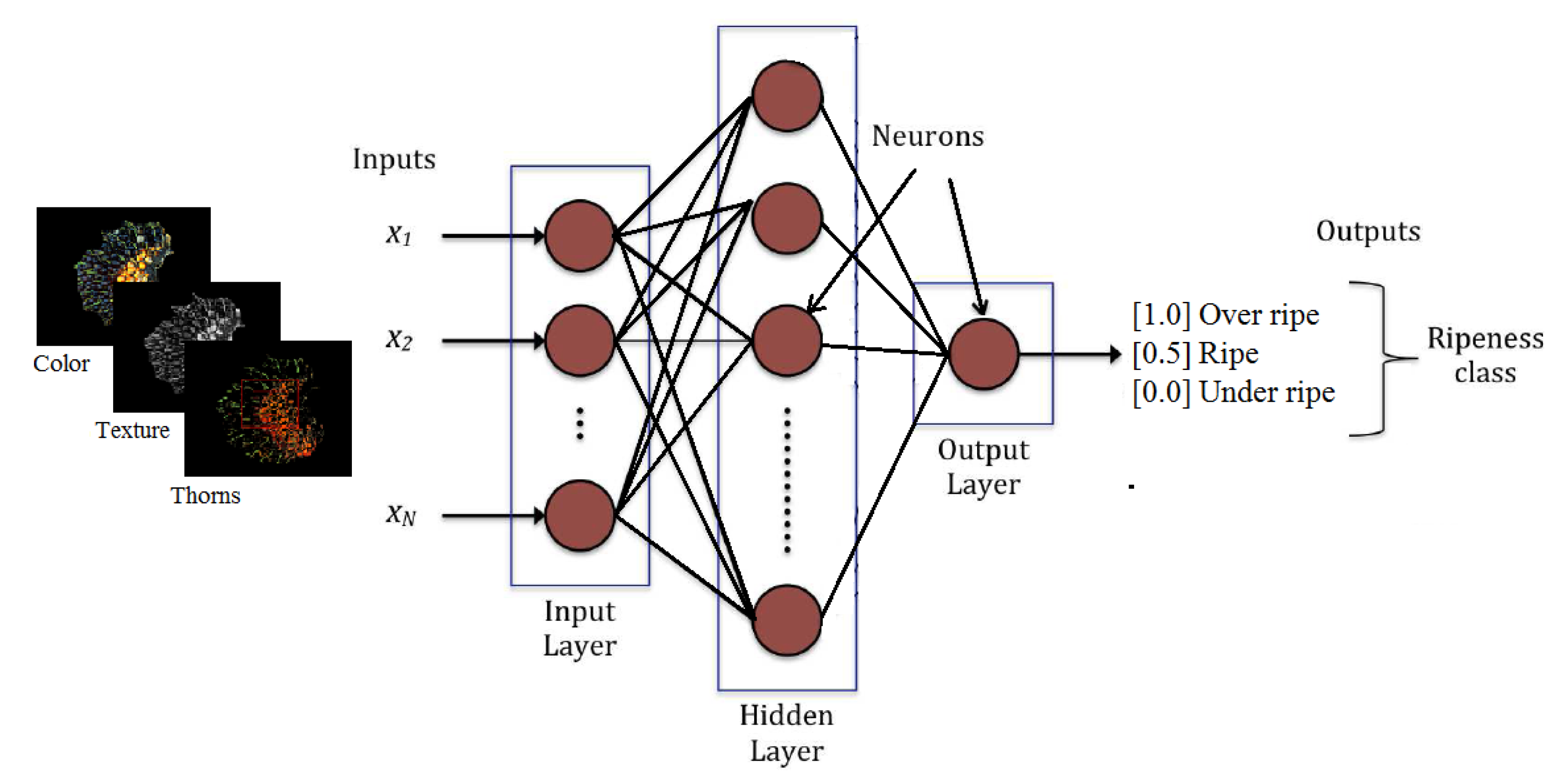 Agriculture 12 01461 g007 550