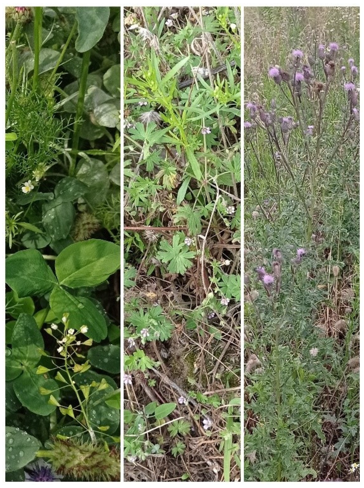 Agriculture 12 01470 g001