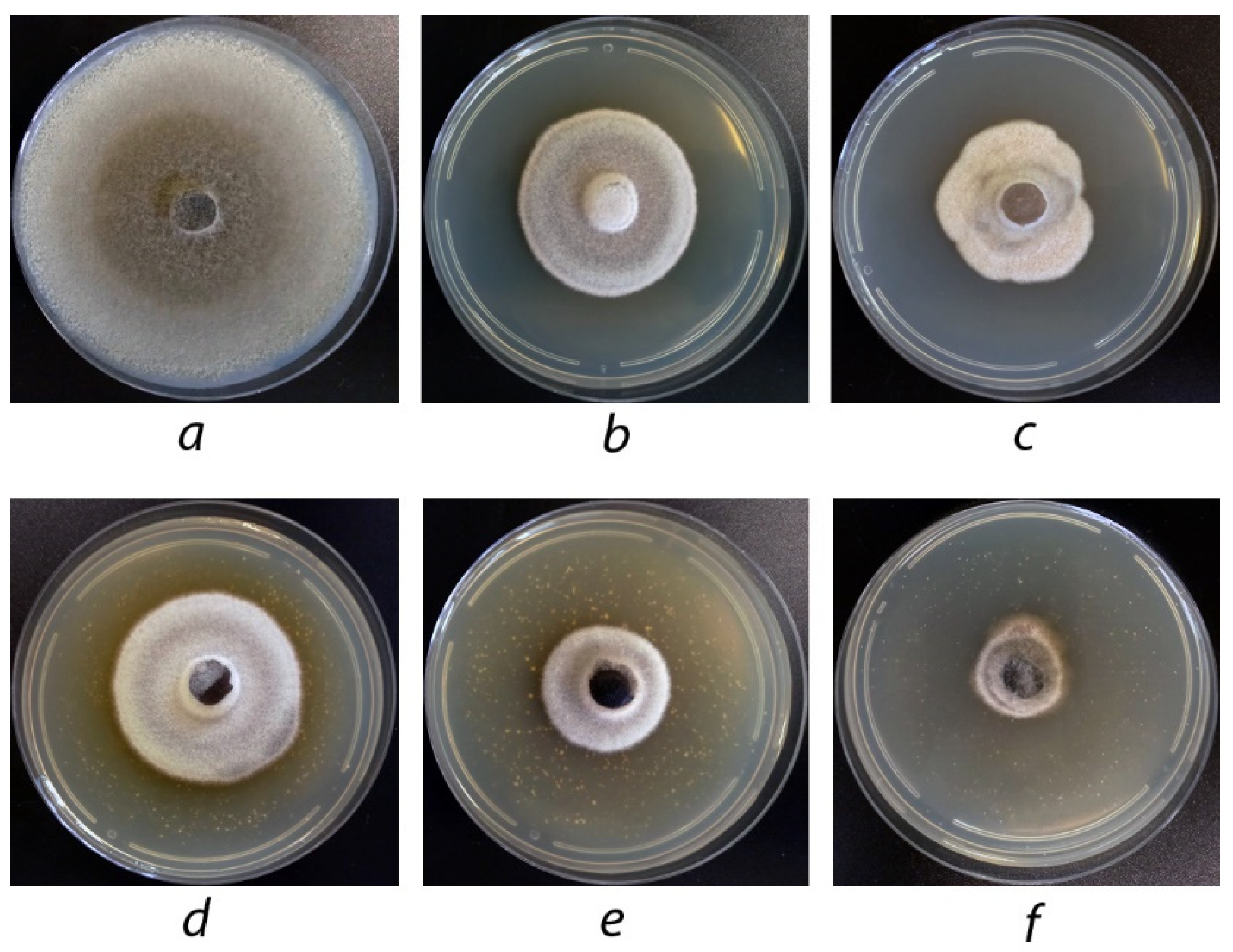 Agriculture 12 01488 g009 550