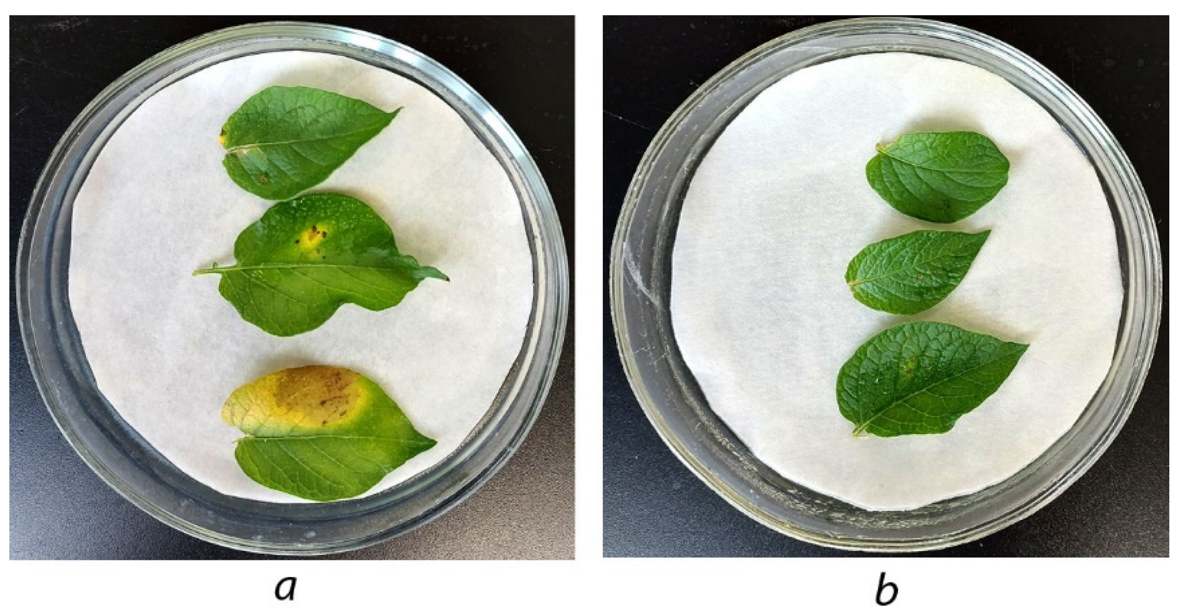 Agriculture 12 01488 g012 550