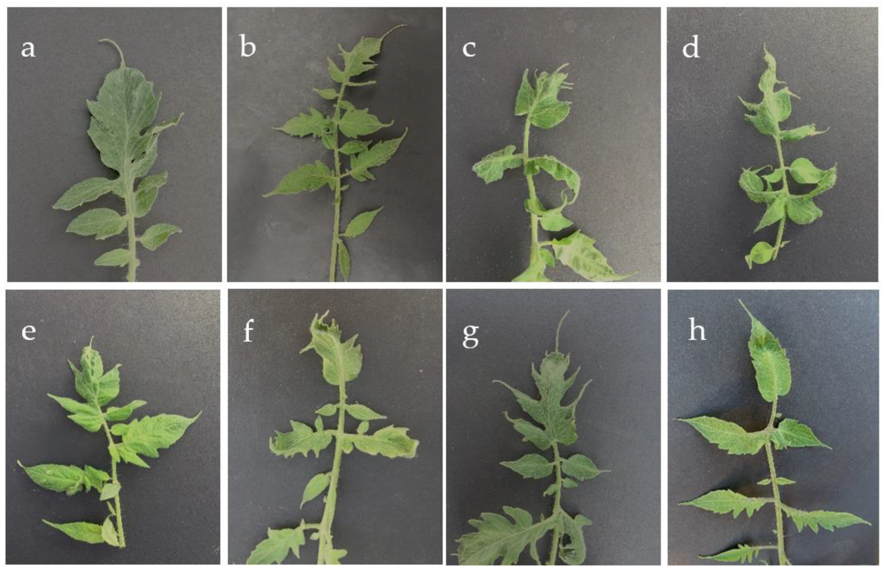 Agriculture 12 01489 g001 550