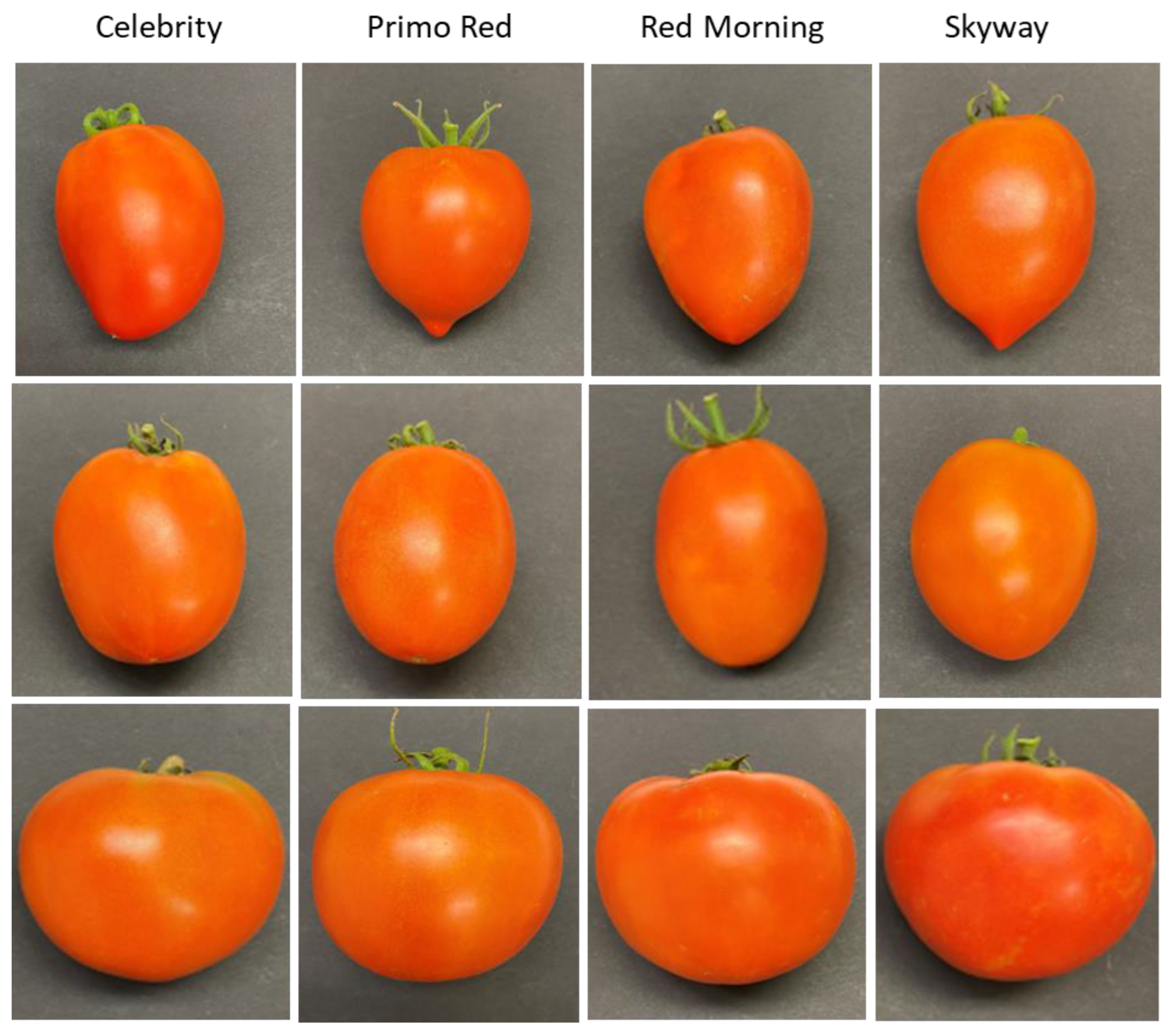 Agriculture 12 01489 g004 550