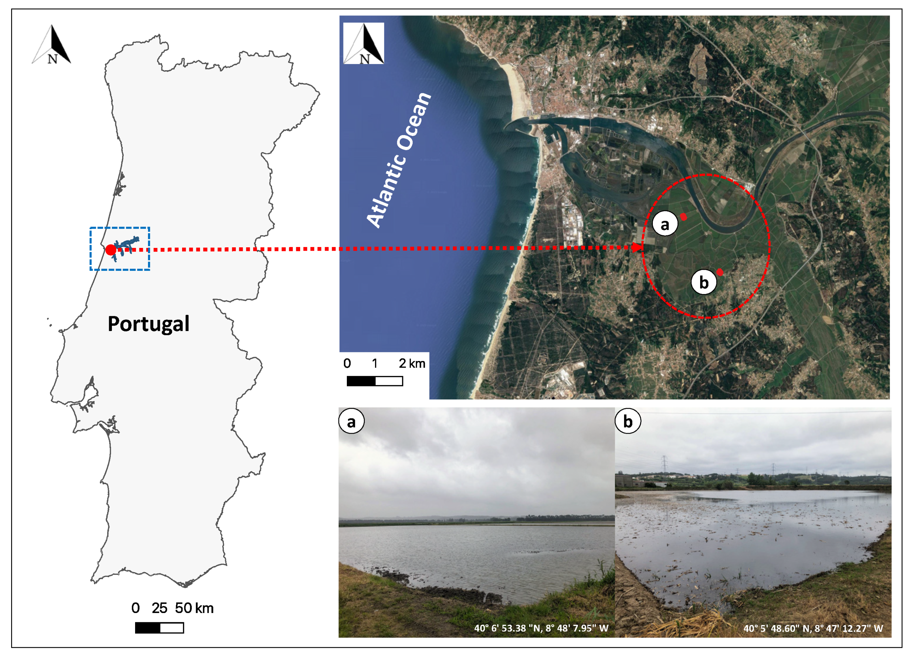 Agriculture 12 01490 g001