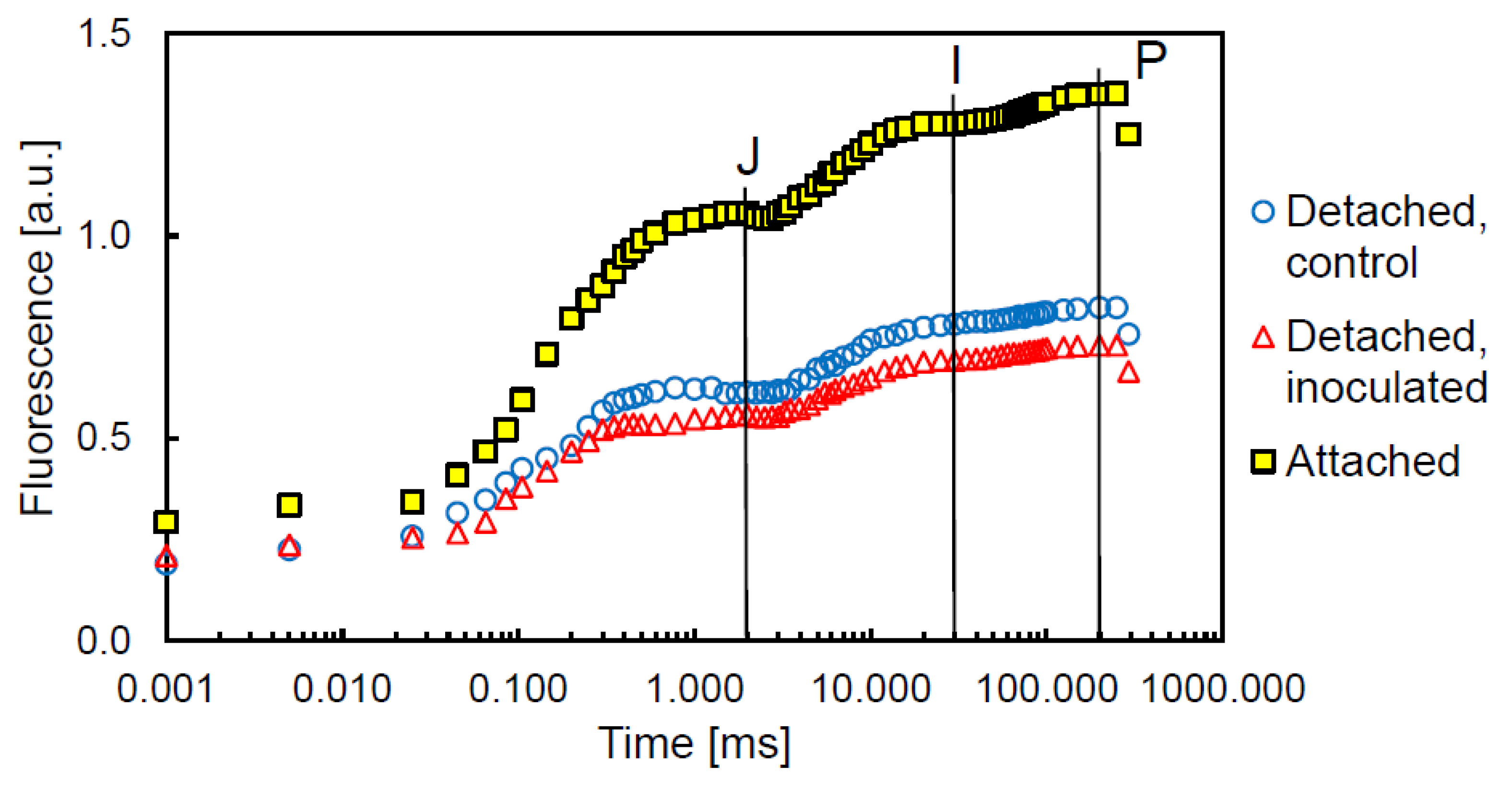 Agriculture 12 01504 g003 Agriculture 12 01504 g003