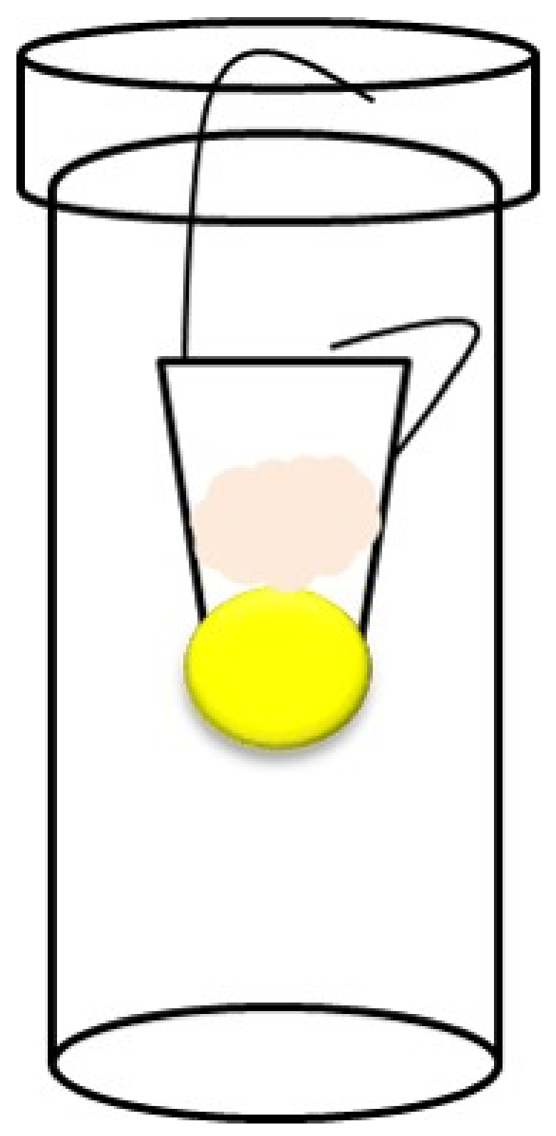 Agriculture 12 01505 g001