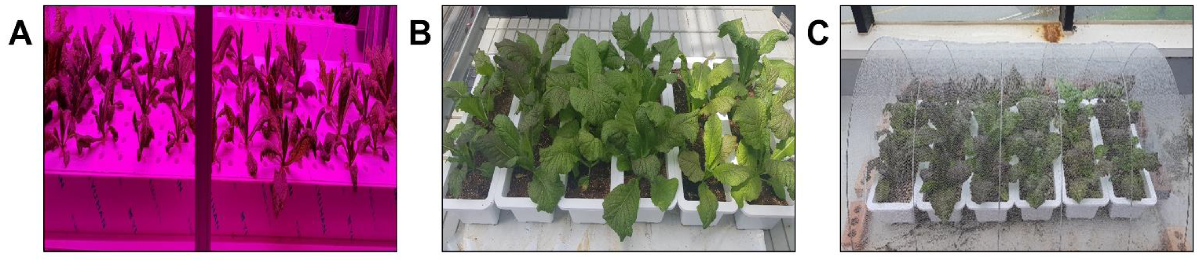 Agriculture 12 01515 g001 Agriculture 12 01515 g001