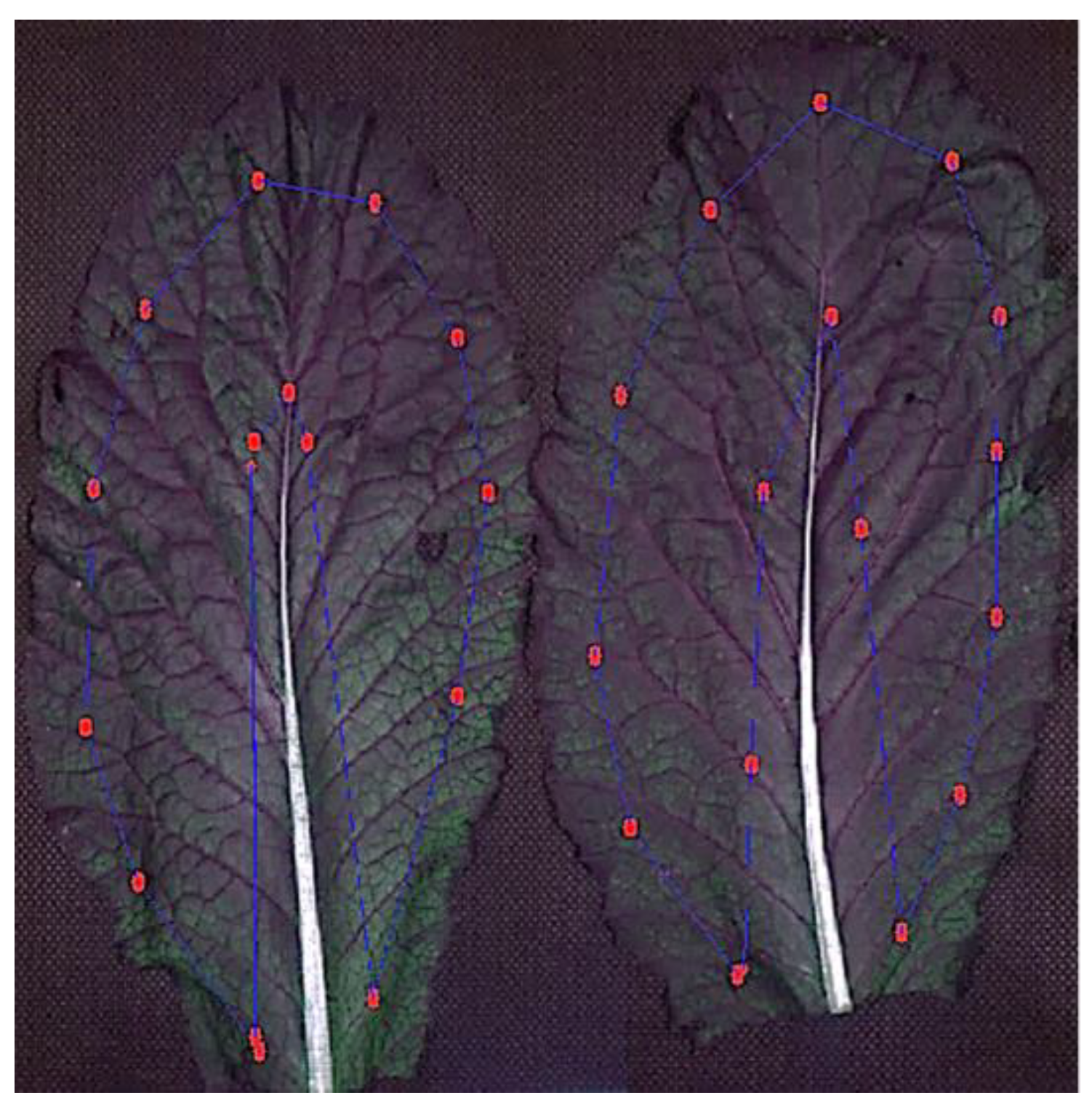 Agriculture 12 01515 g003 Agriculture 12 01515 g003