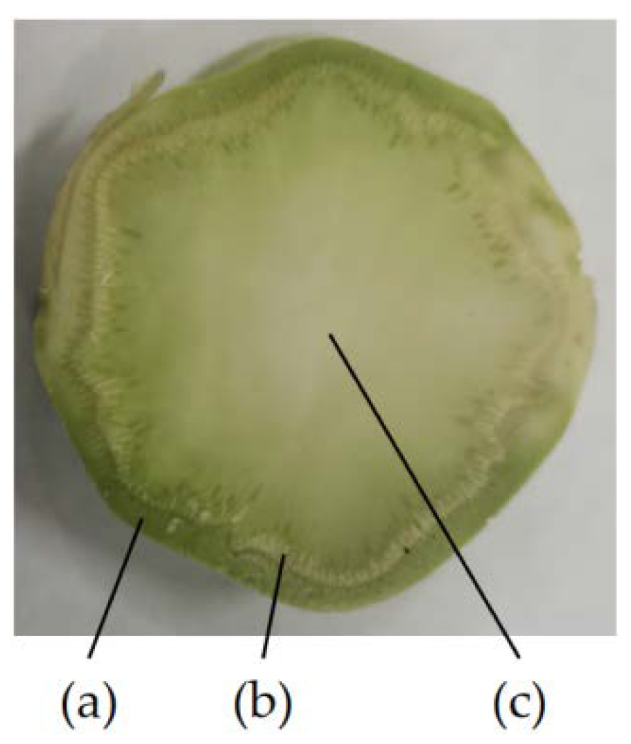 Agriculture 12 01519 g003