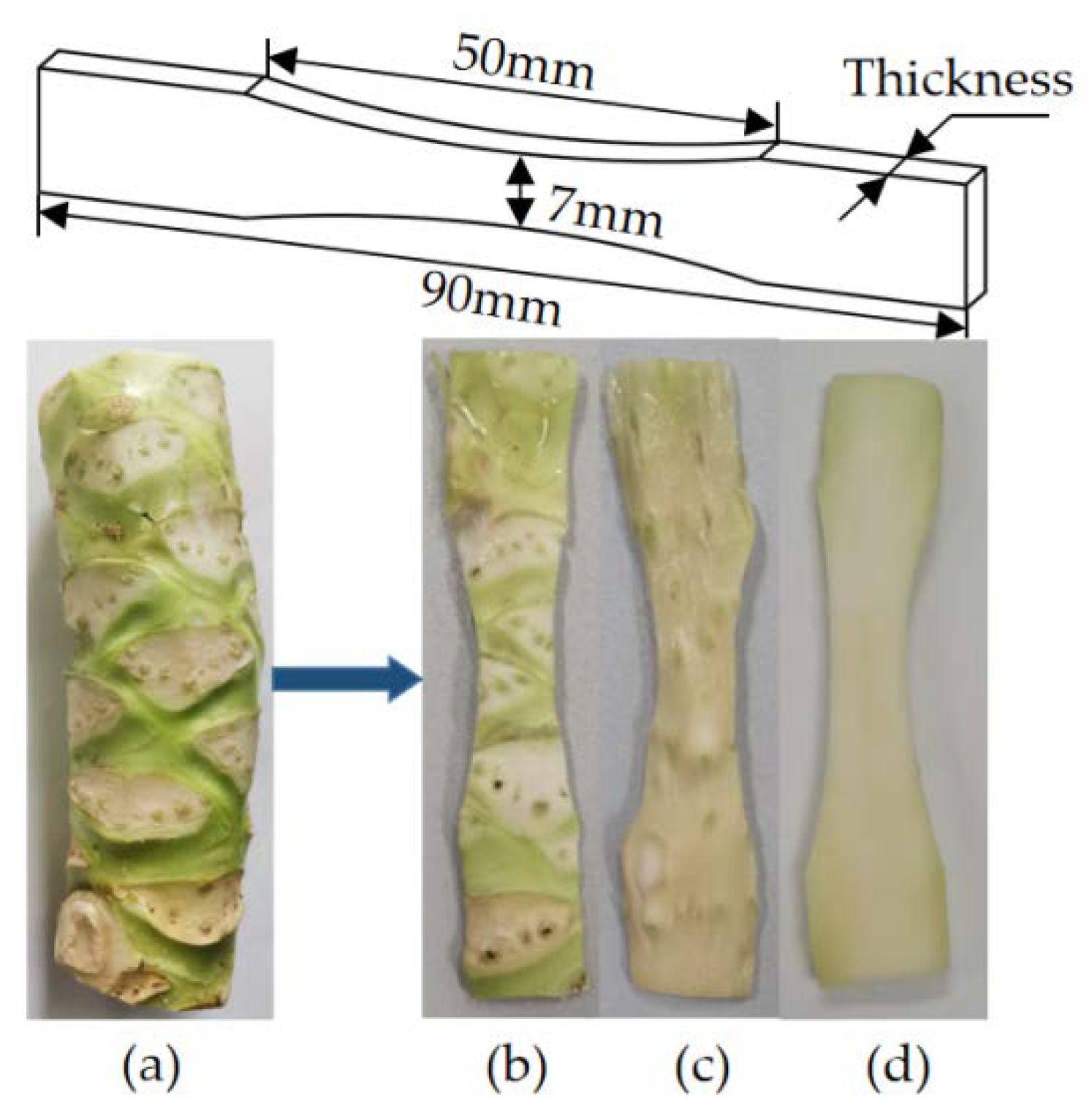 Agriculture 12 01519 g010