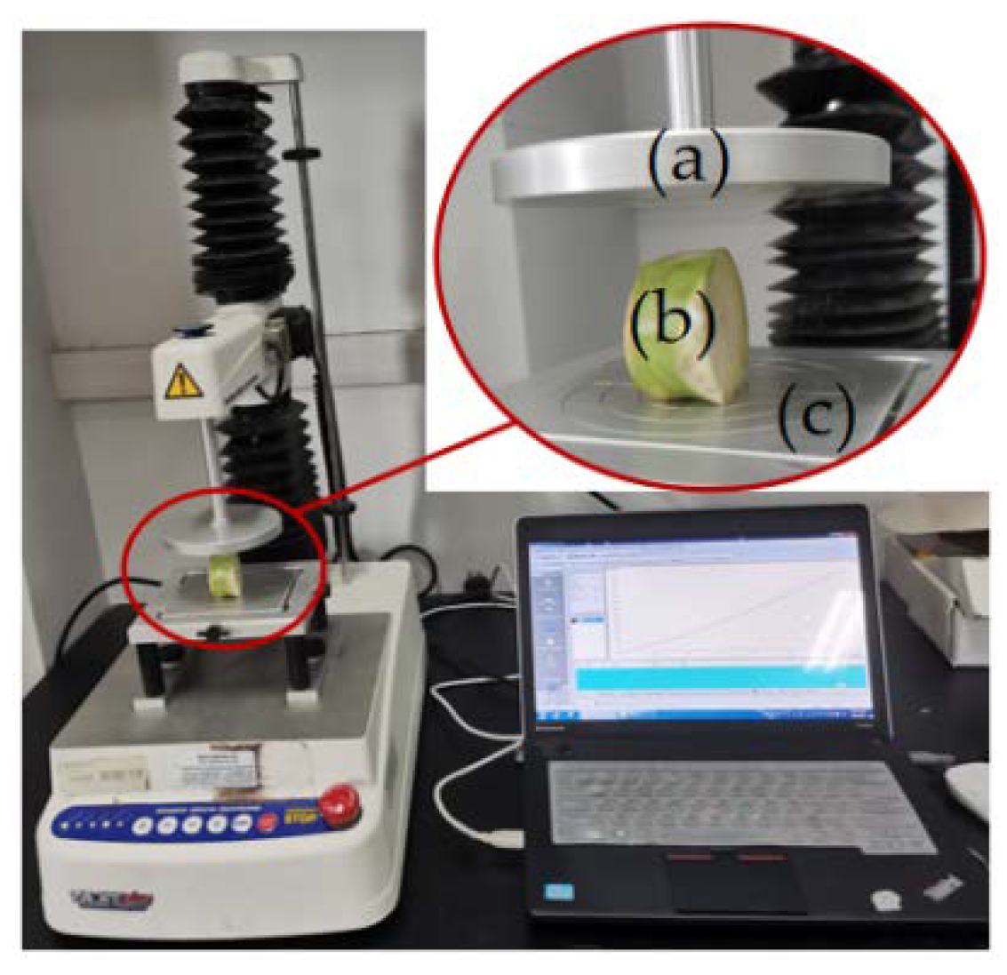 Agriculture 12 01519 g012