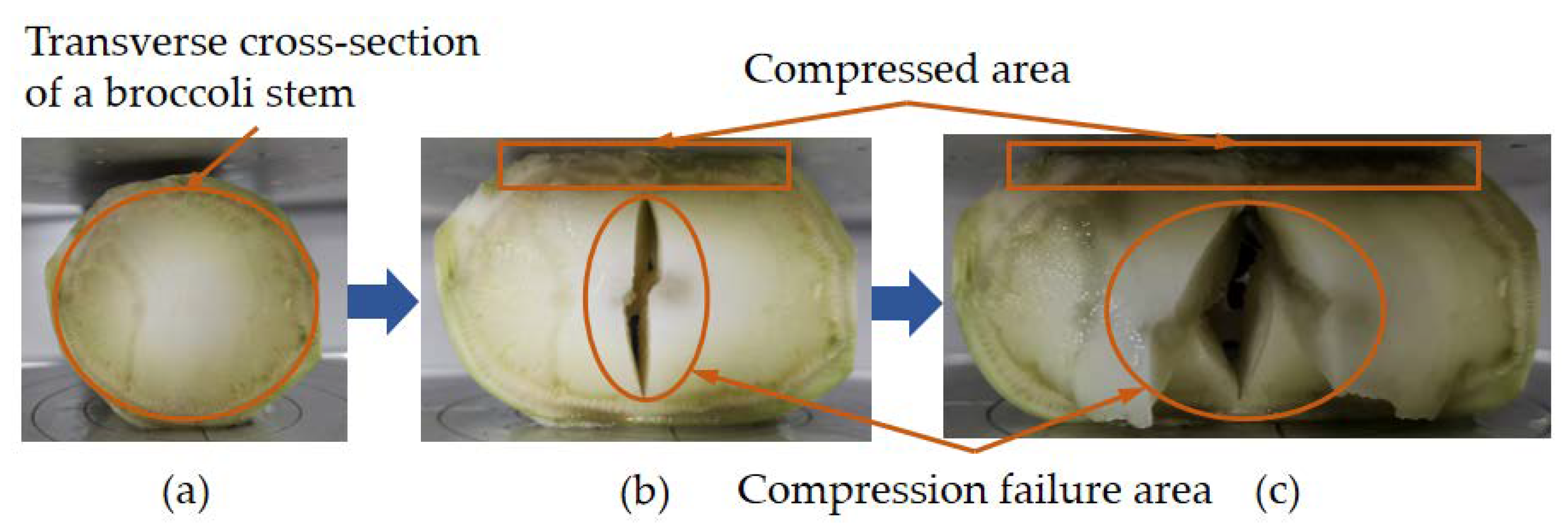 Agriculture 12 01519 g027