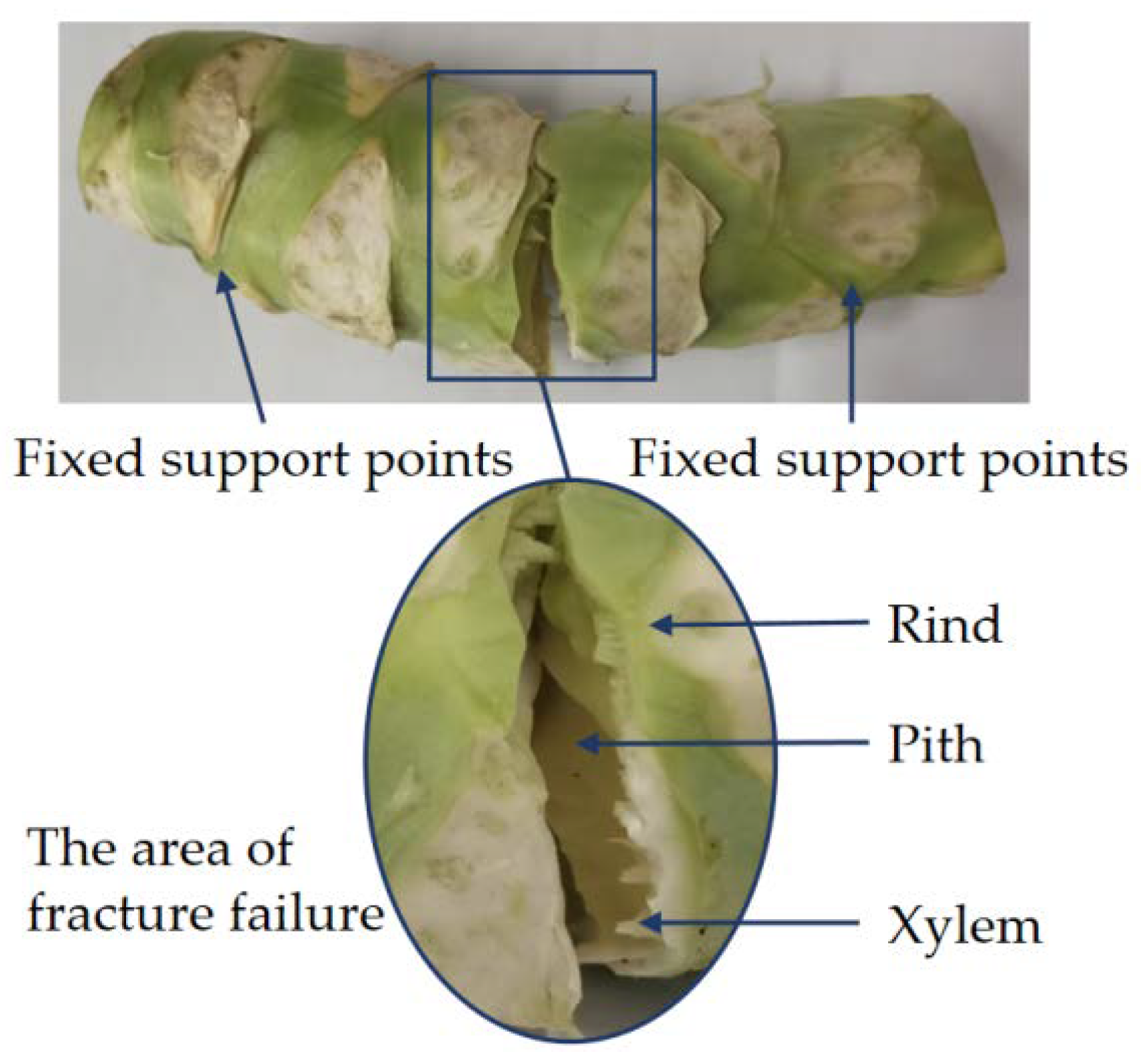 Agriculture 12 01519 g030
