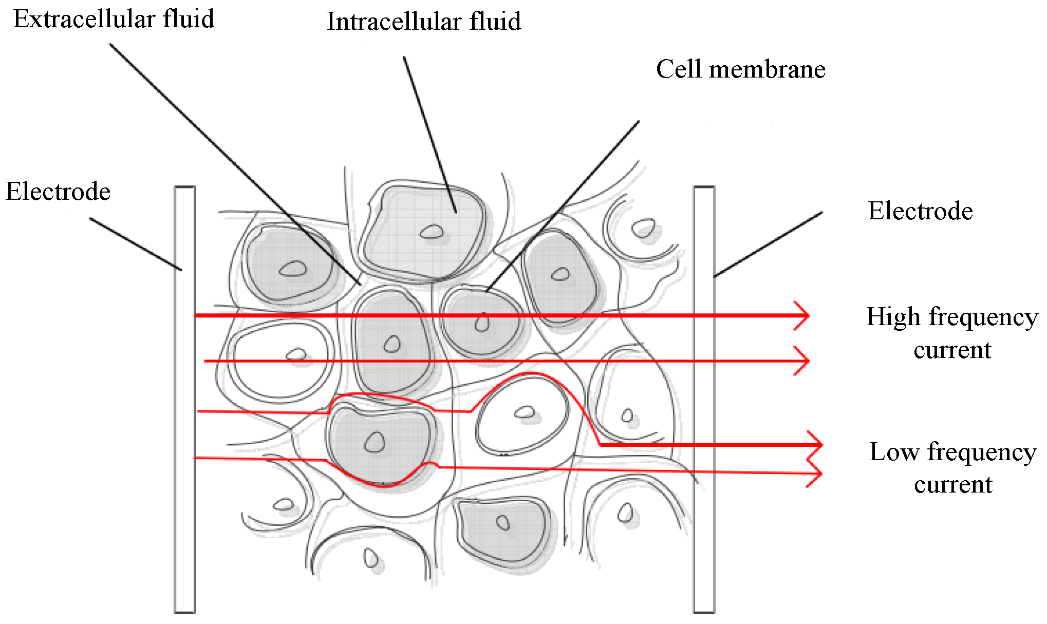Agriculture 12 01525 g001