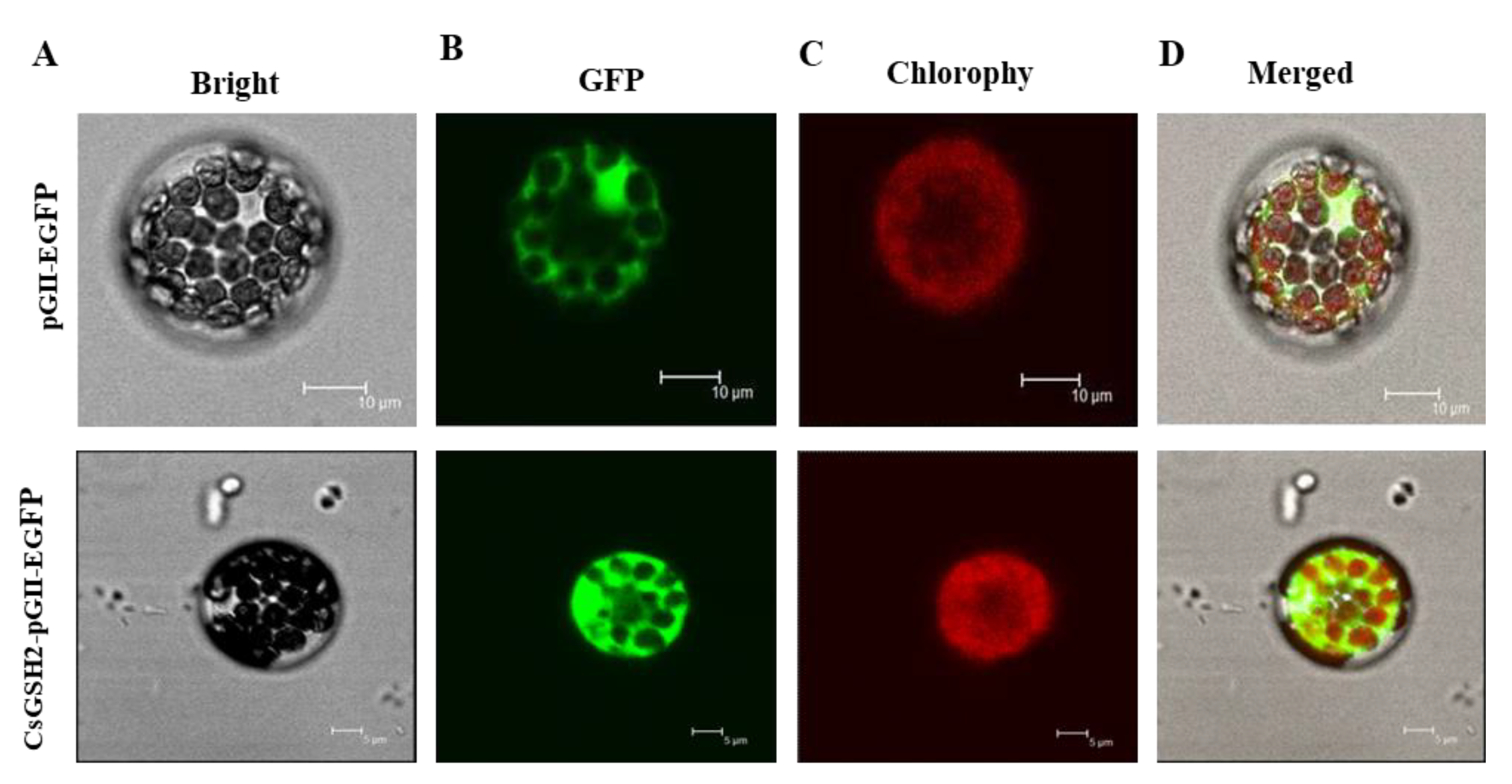 Agriculture 12 01528 g003 550