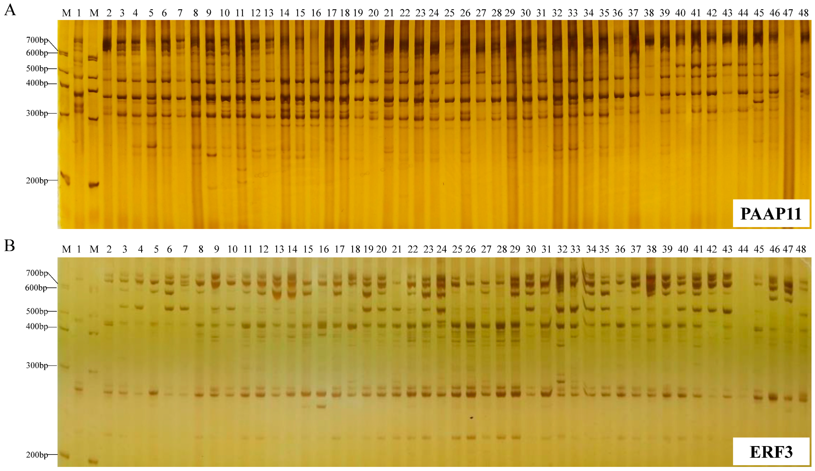 Agriculture 12 01536 g003 550