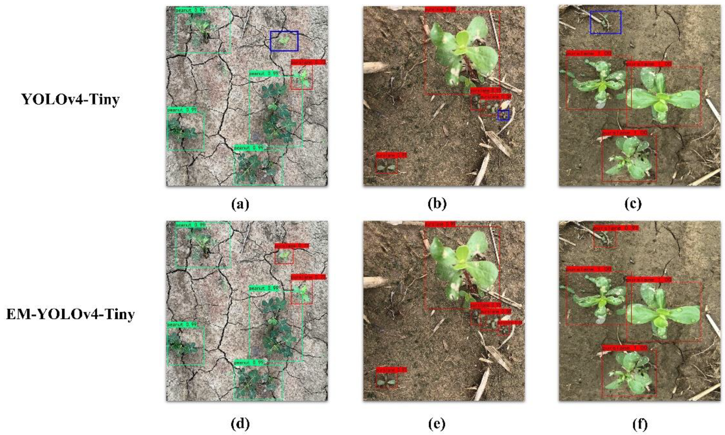 Agriculture 12 01541 g004 Agriculture 12 01541 g004
