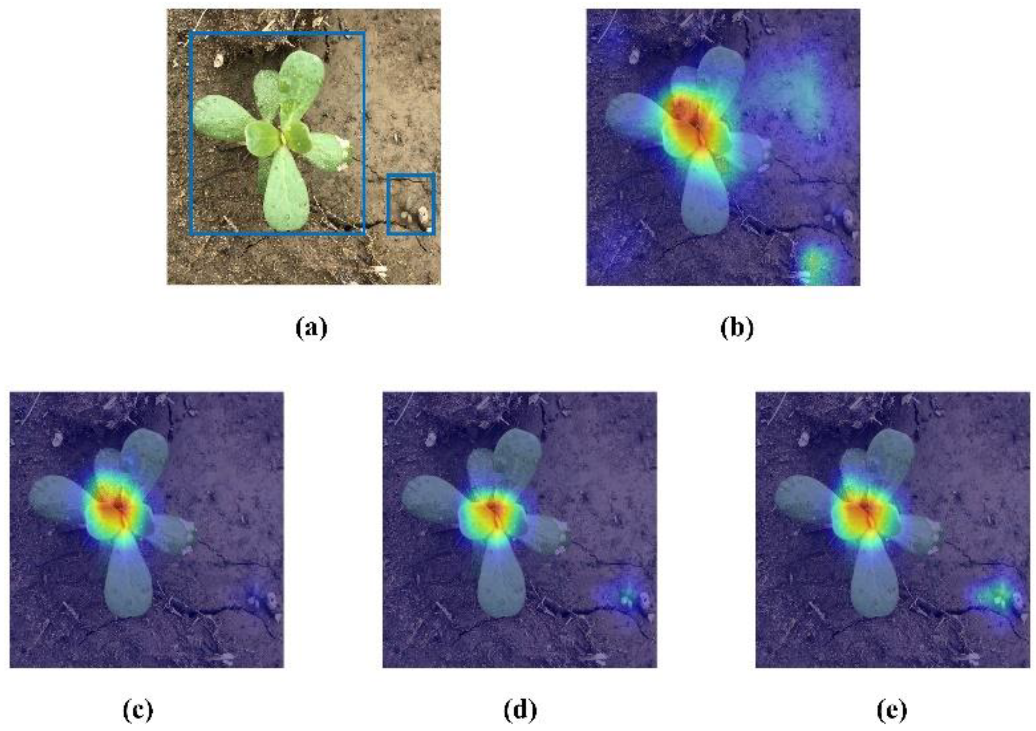 Agriculture 12 01541 g005 Agriculture 12 01541 g005