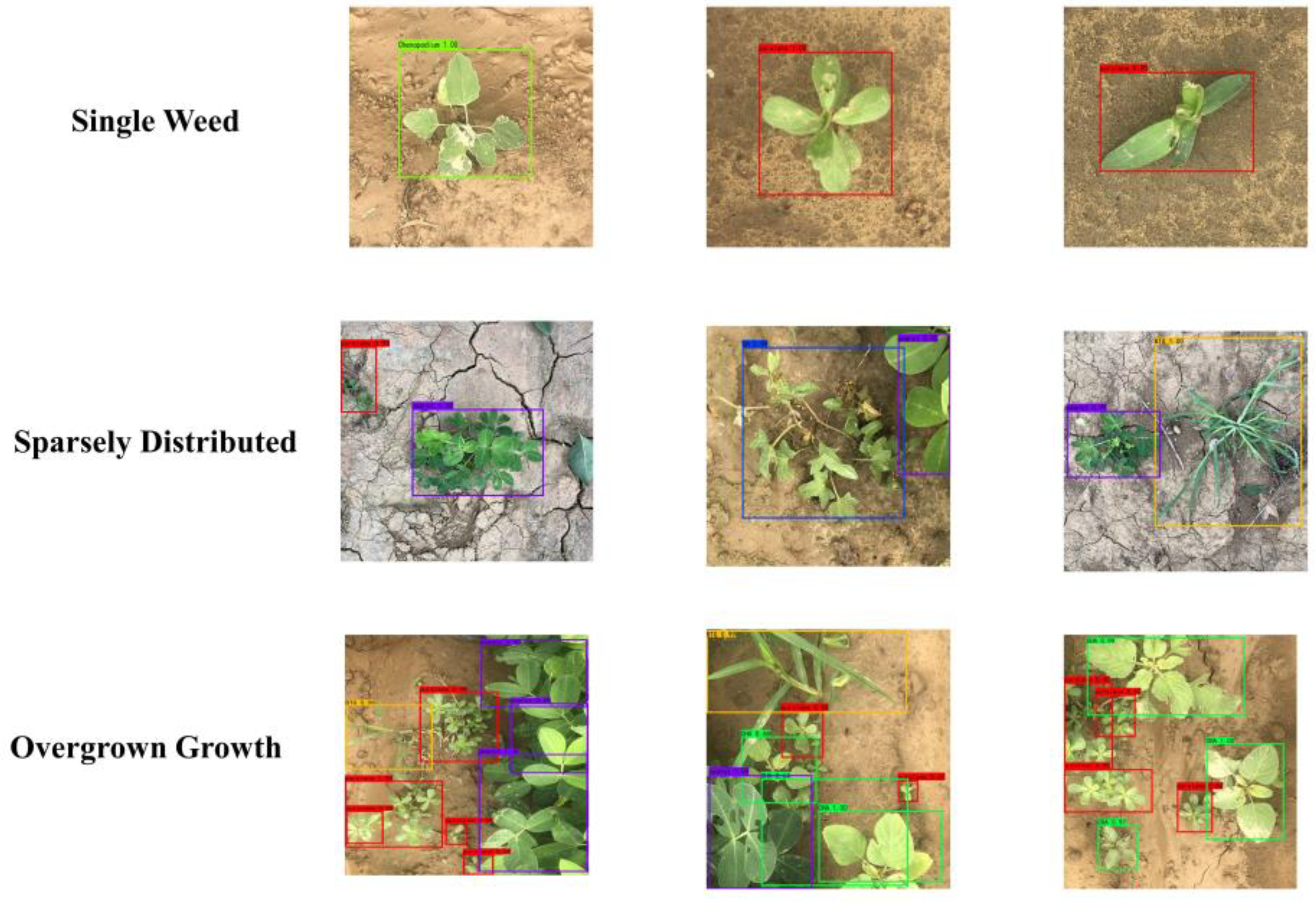 Agriculture 12 01541 g006 Agriculture 12 01541 g006
