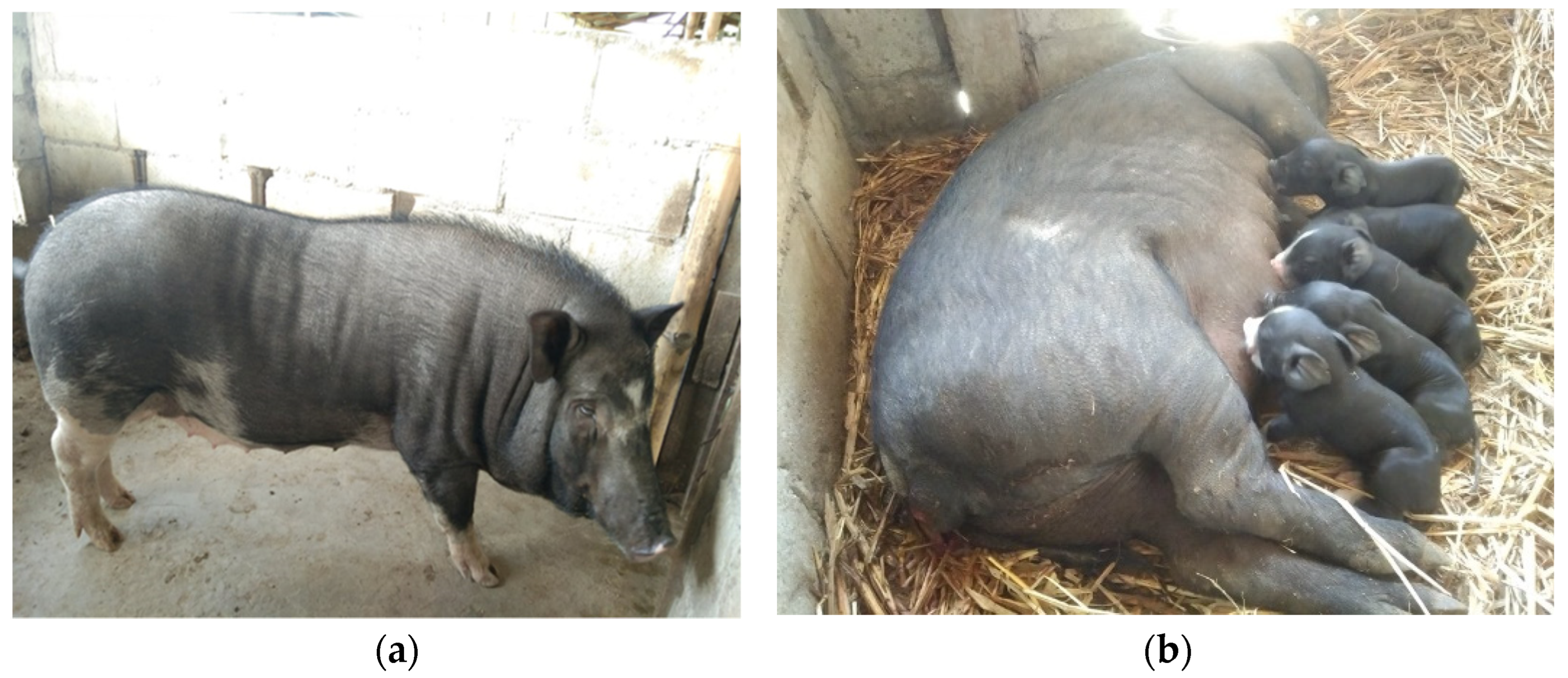 Agriculture 12 01549 g001 Agriculture 12 01549 g001