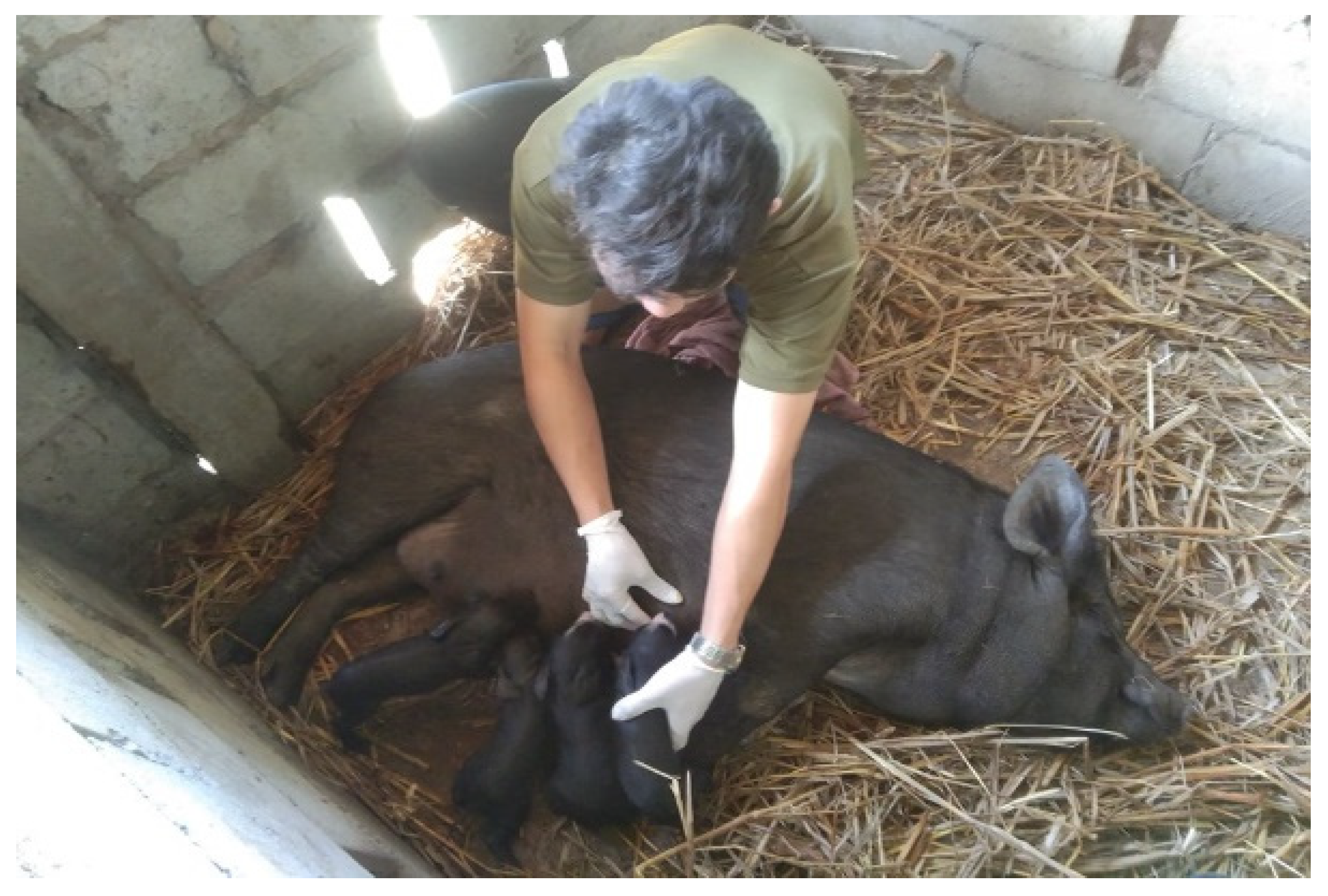 Agriculture 12 01549 g002 Agriculture 12 01549 g002