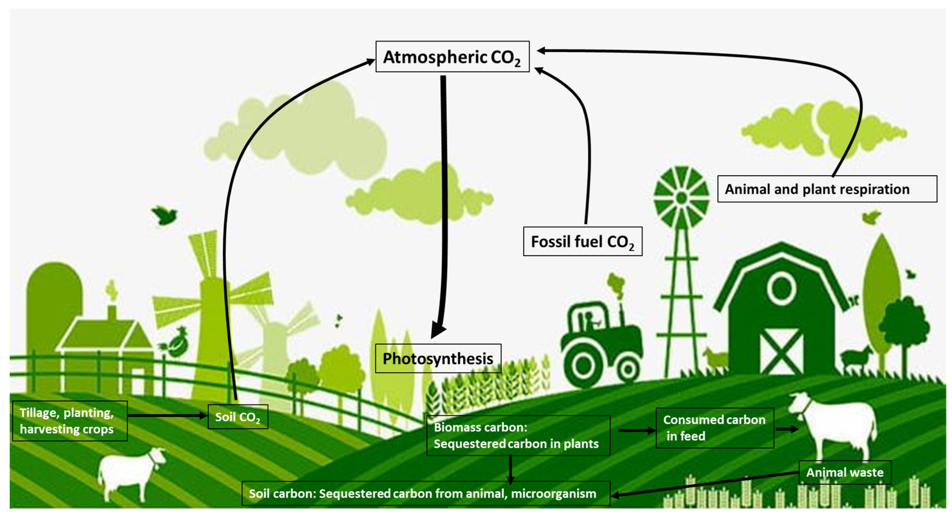 Agriculture 12 01554 g002