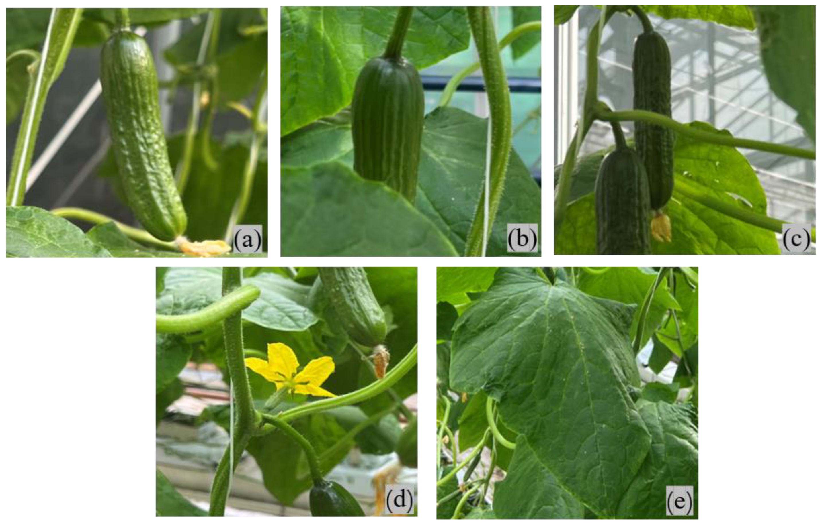 Agriculture 12 01556 g002