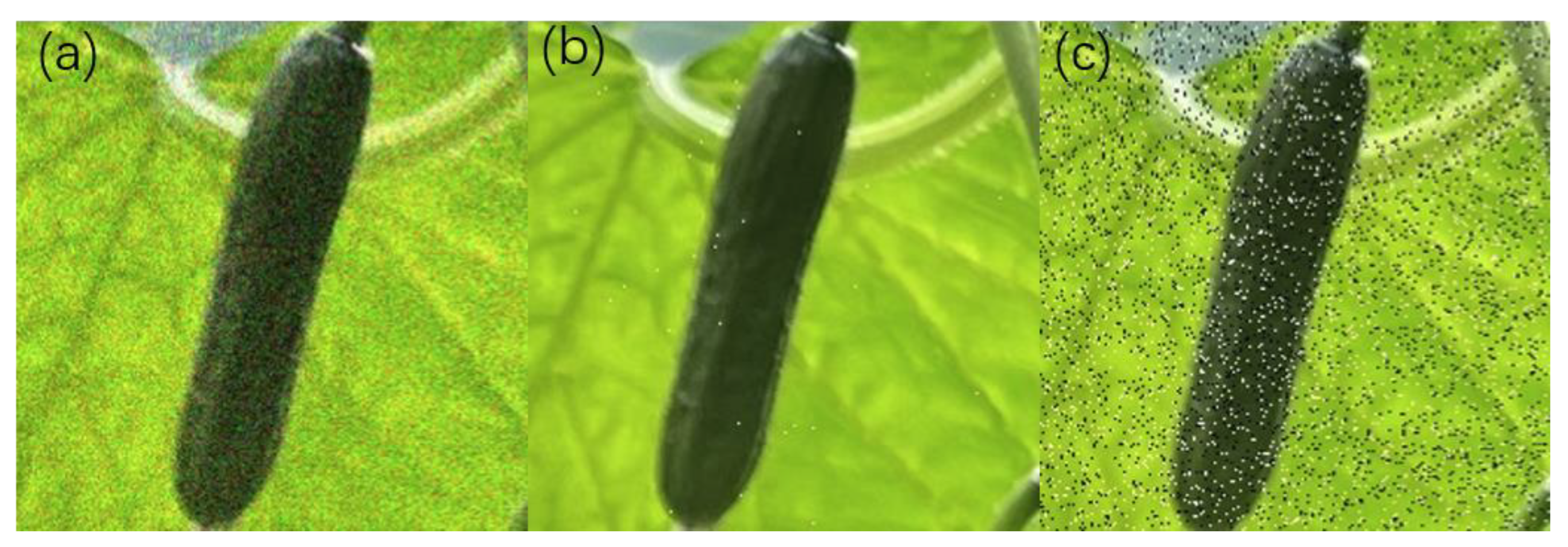 Agriculture 12 01556 g003