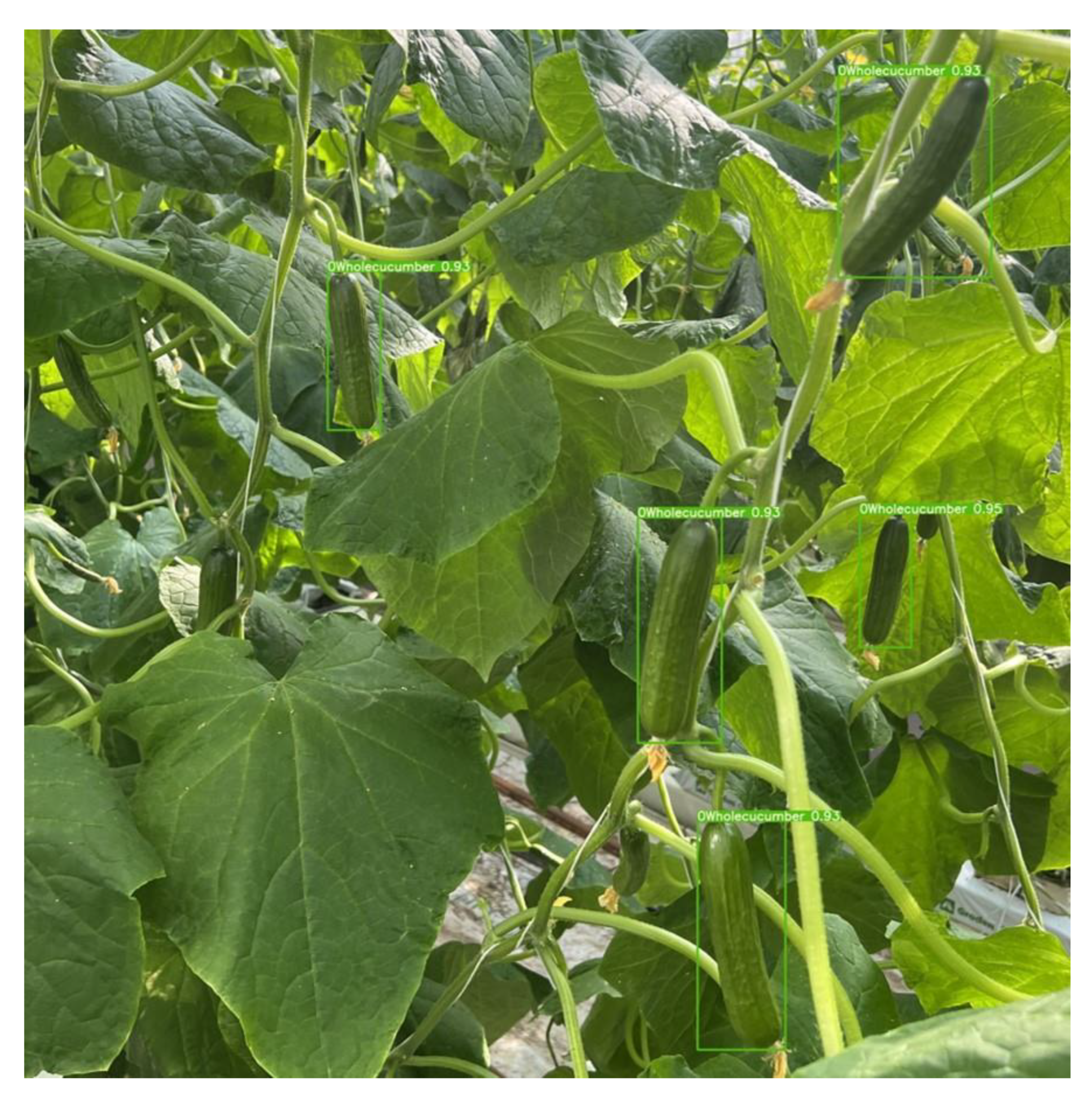 Agriculture 12 01556 g009