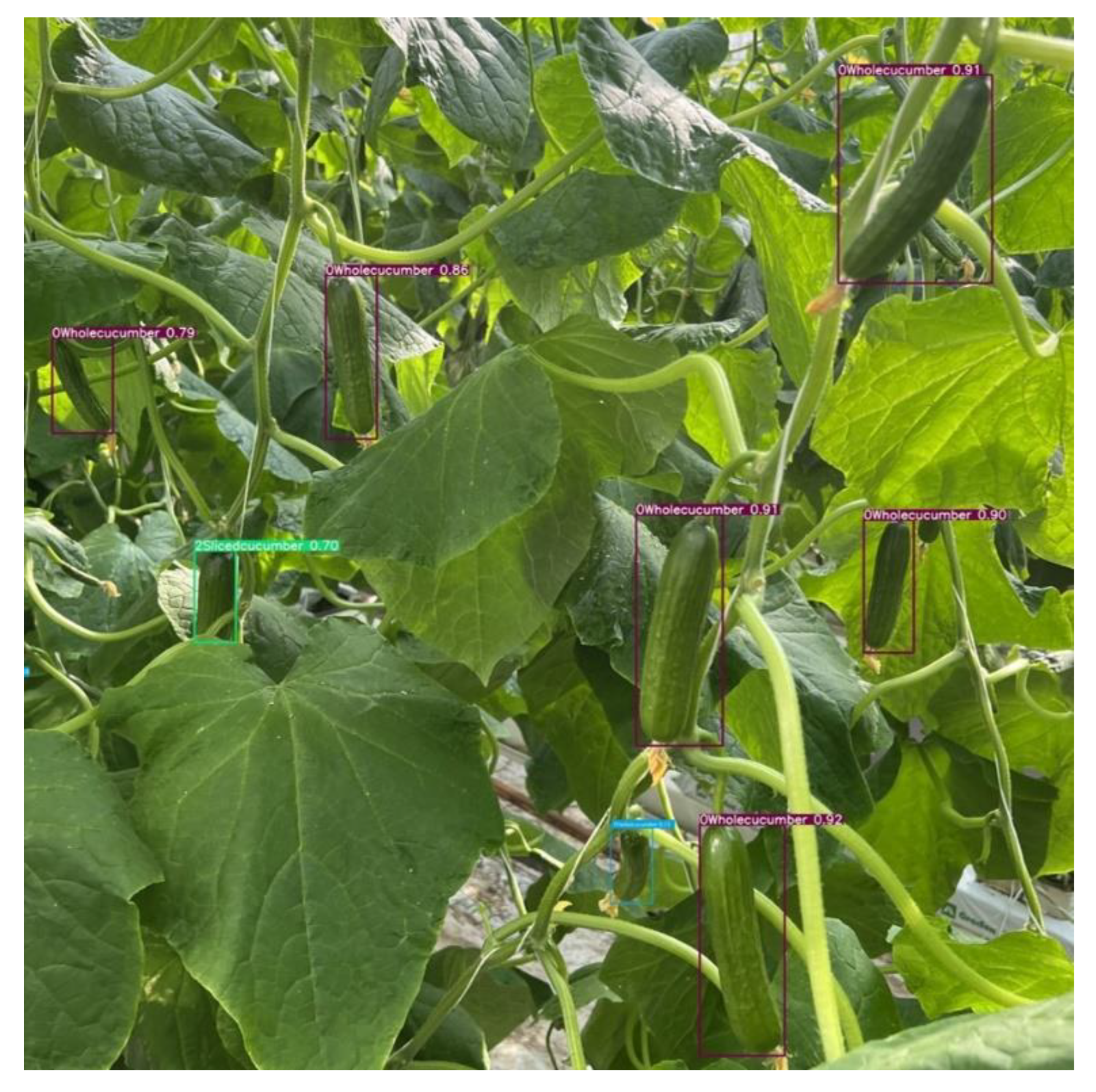 Agriculture 12 01556 g010