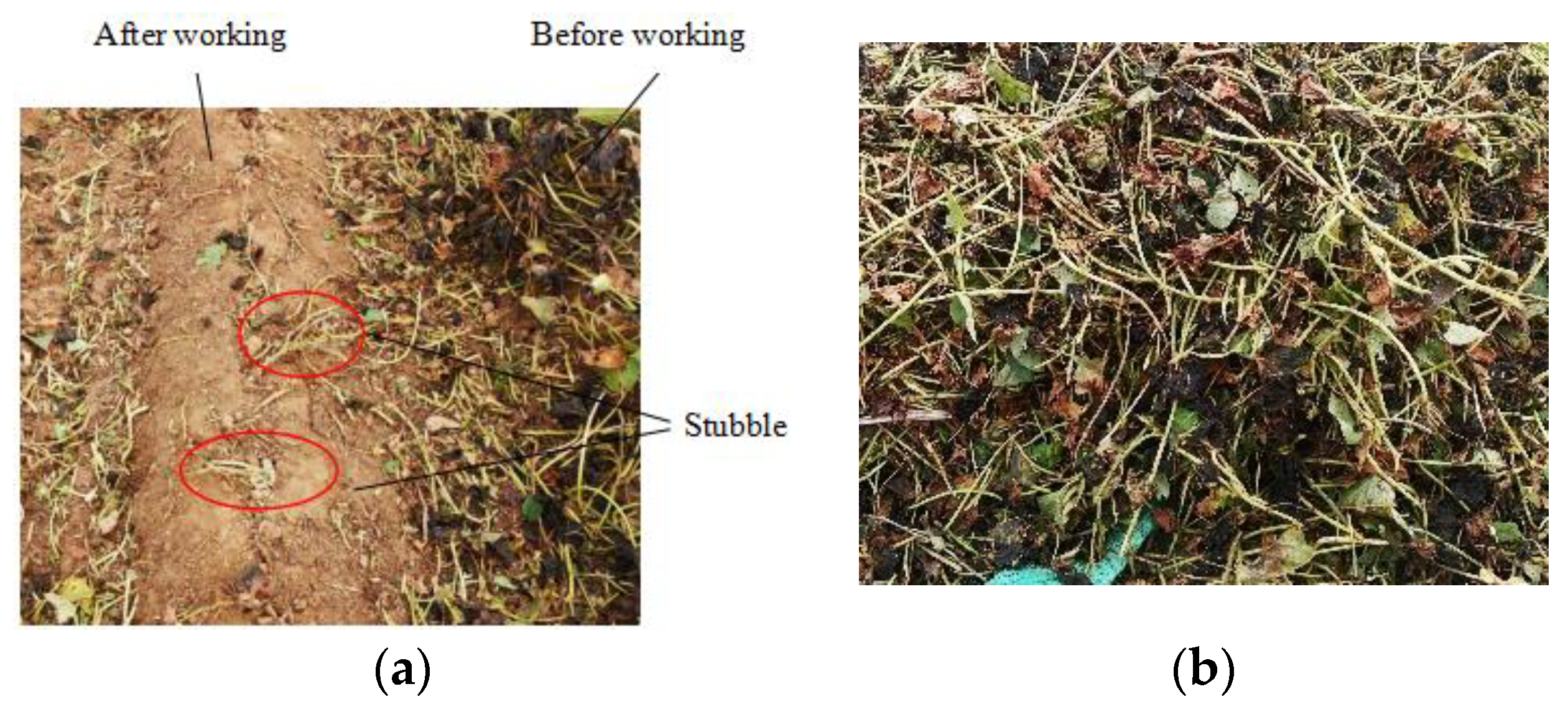 Agriculture 12 01559 g015