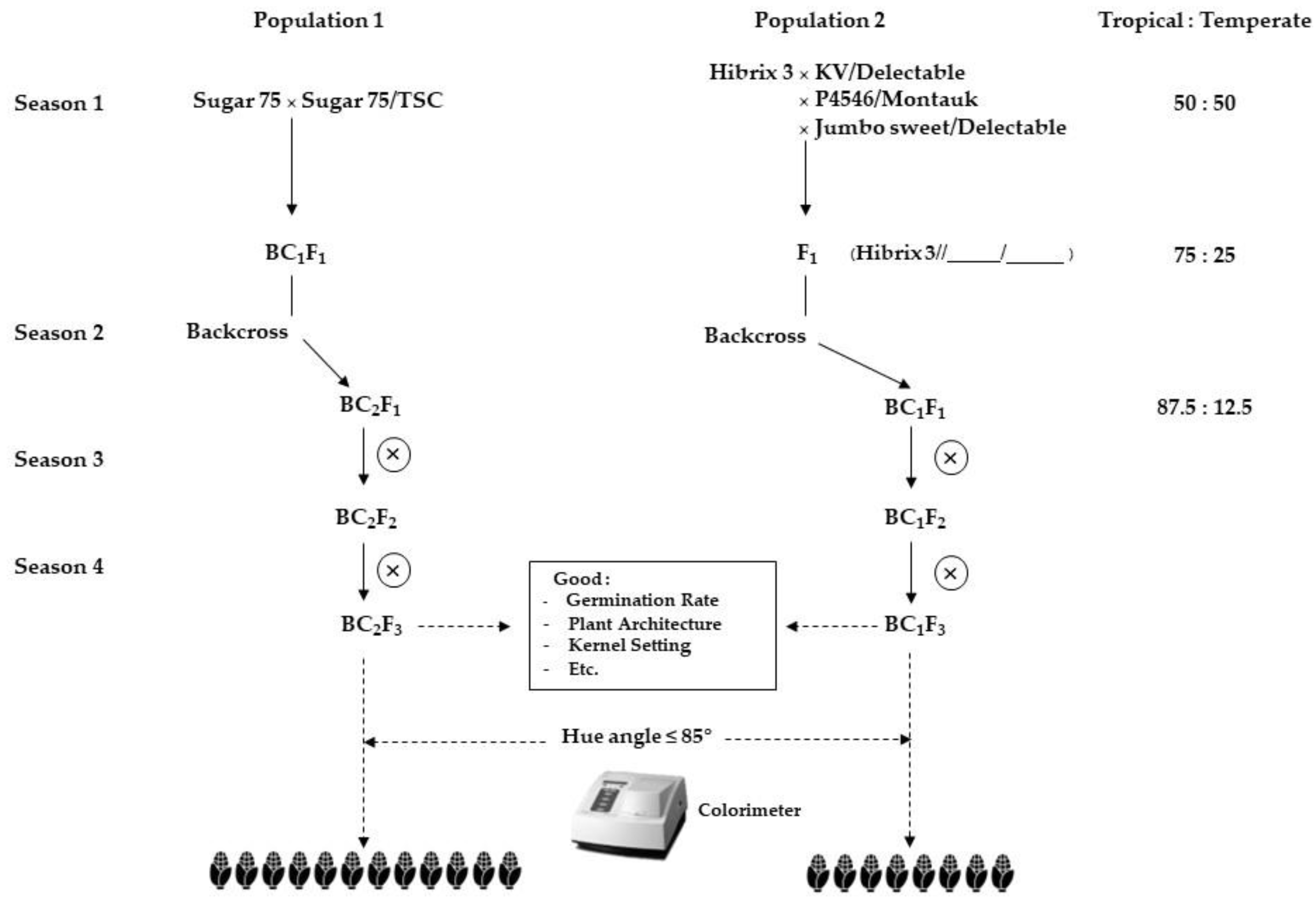 Agriculture 12 01561 g001