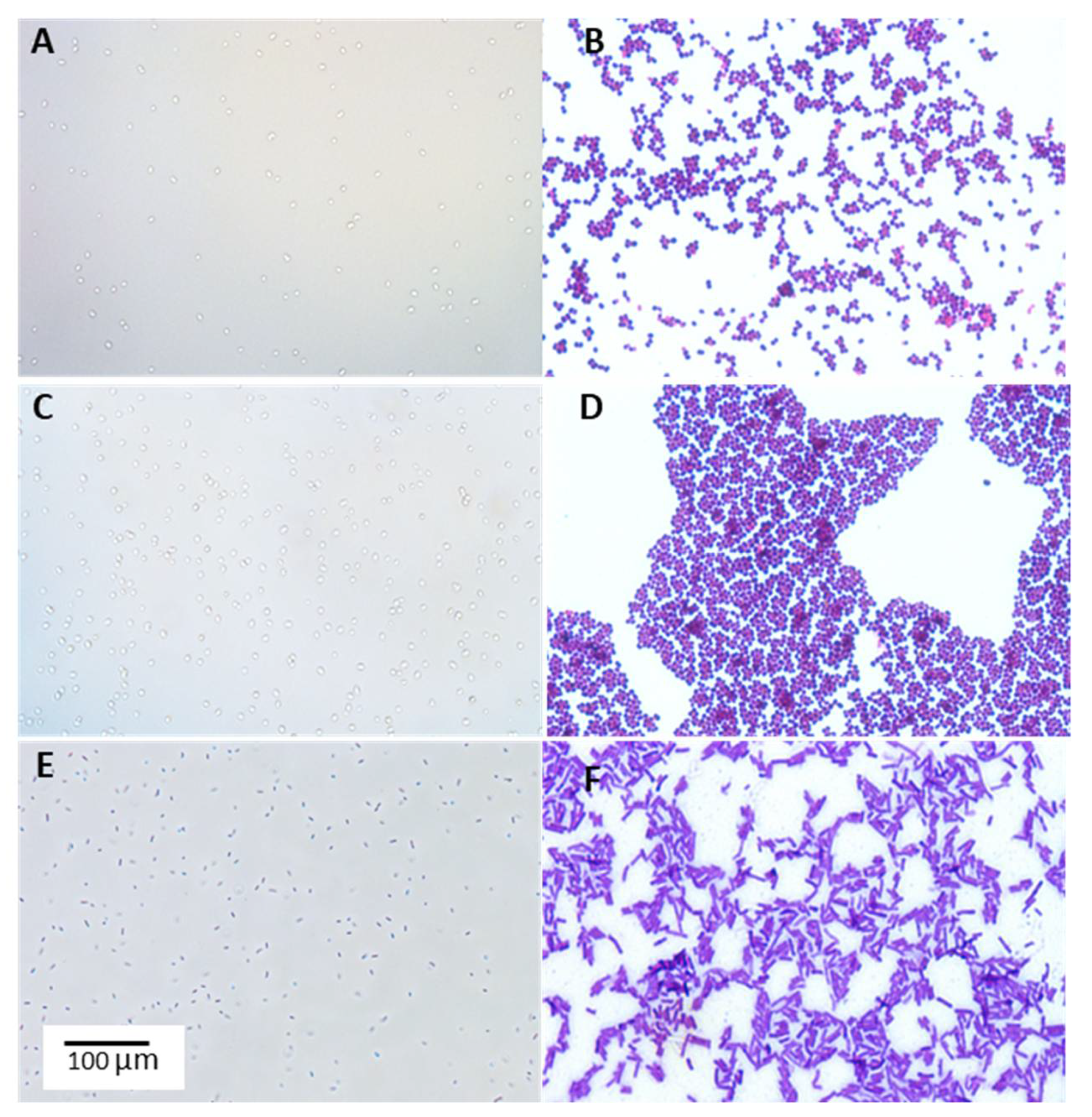 Agriculture 12 01562 g001 Agriculture 12 01562 g001