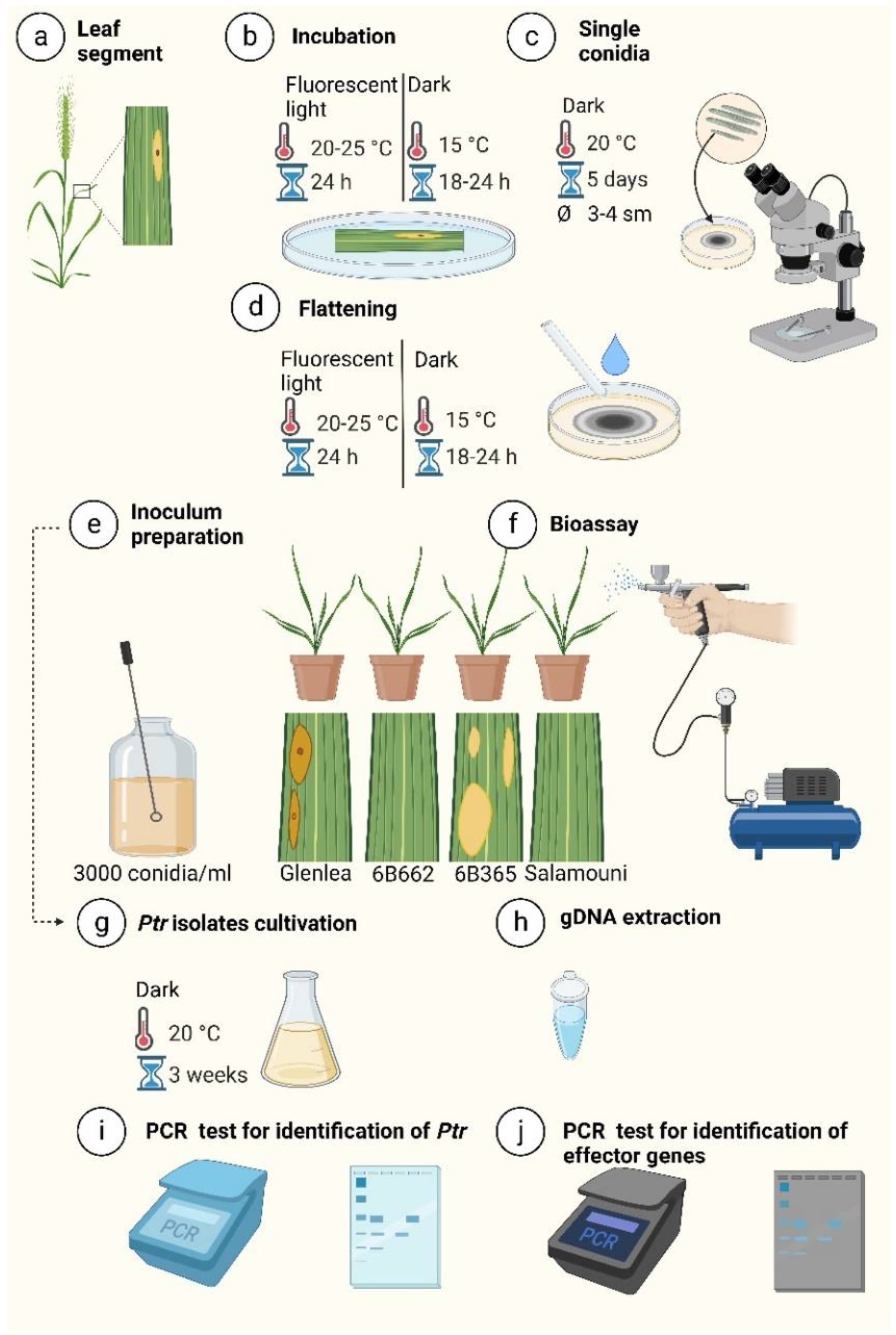 Agriculture 12 01564 g001 Agriculture 12 01564 g001