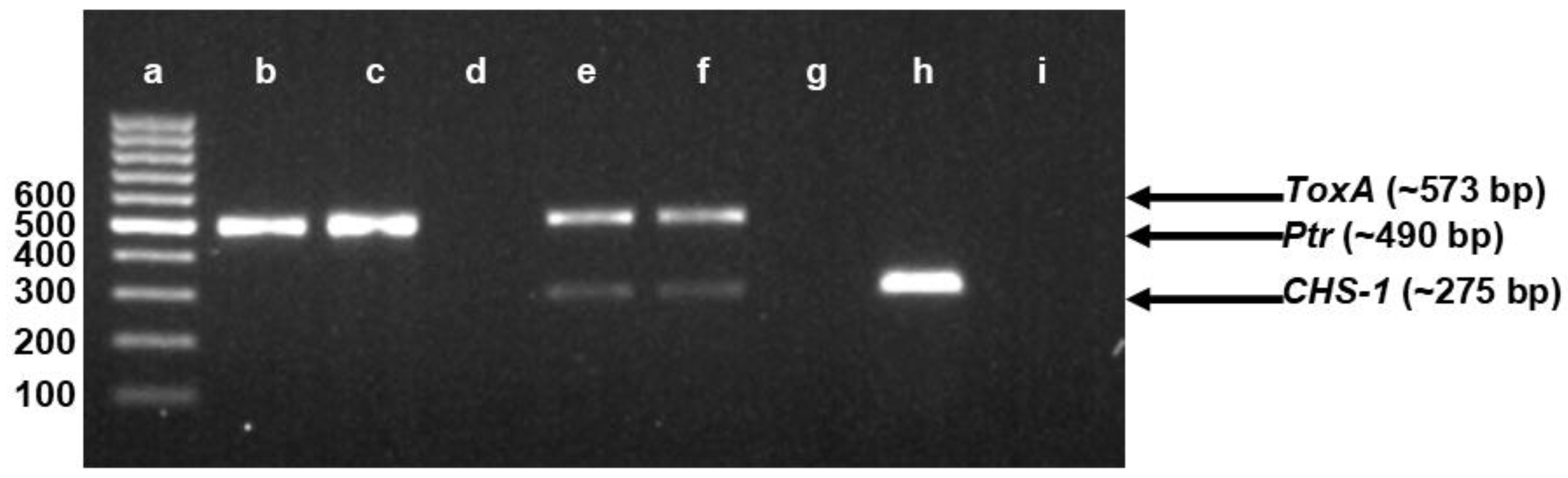 Agriculture 12 01564 g002 Agriculture 12 01564 g002