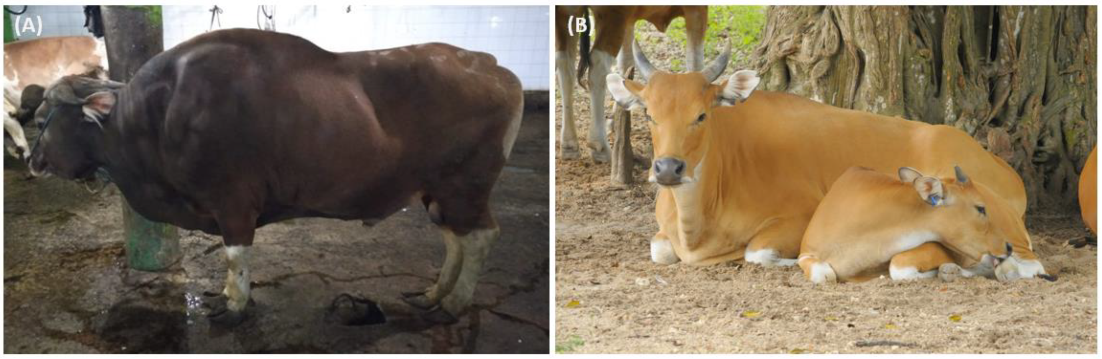 Agriculture 12 01566 g001 Agriculture 12 01566 g001