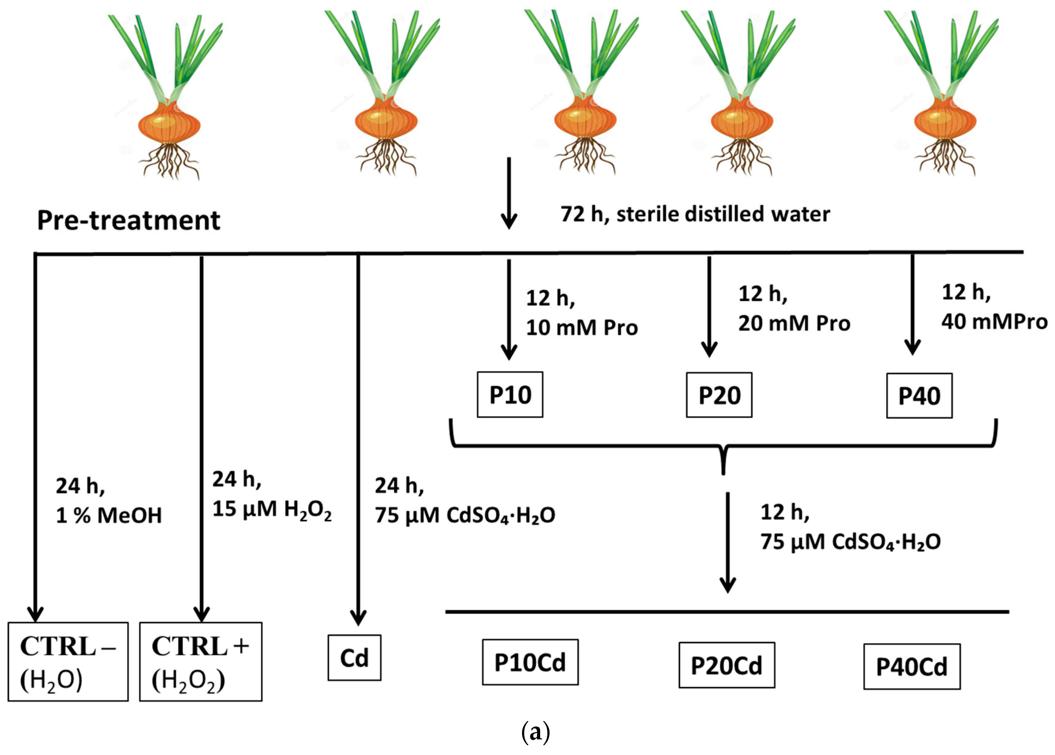 Agriculture 12 01568 g001a