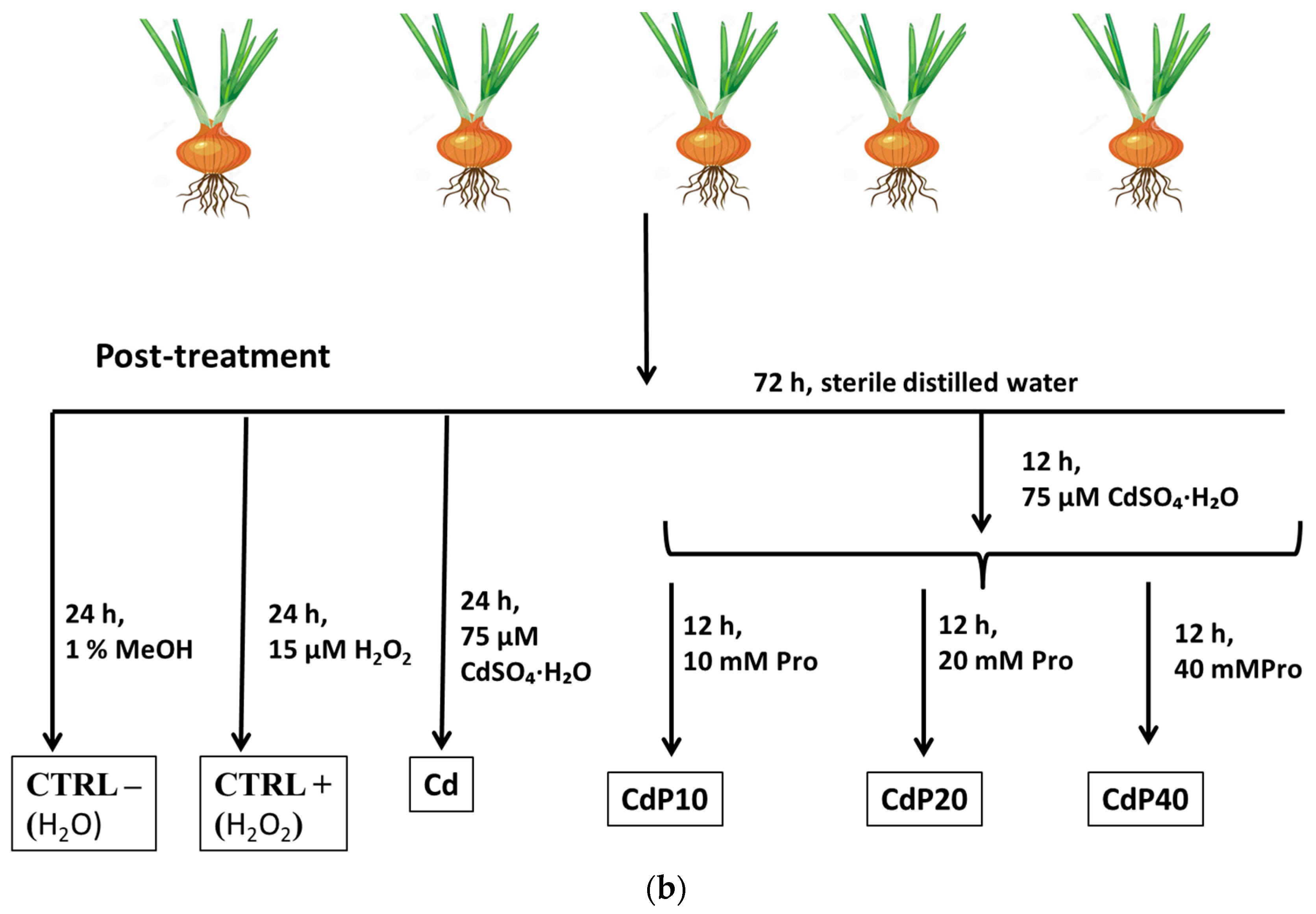 Agriculture 12 01568 g001b