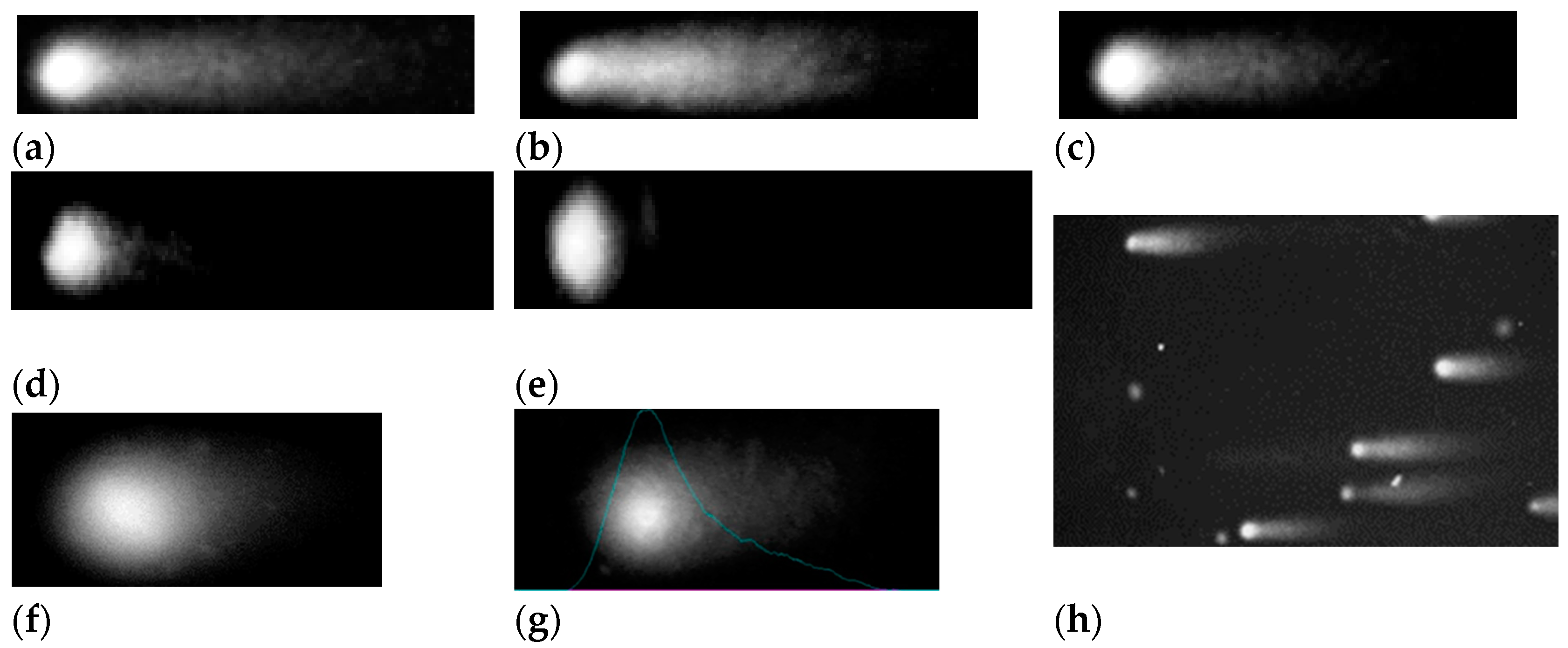 Agriculture 12 01568 g002