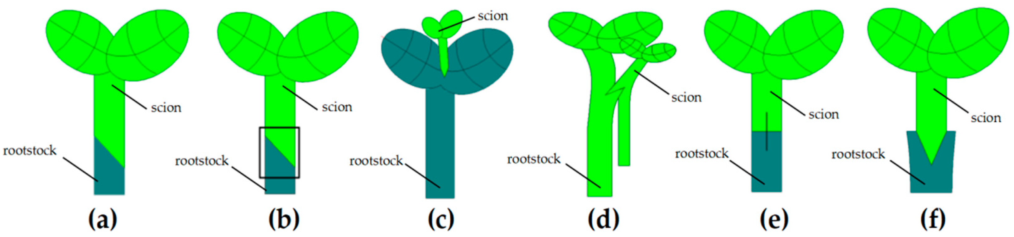 Agriculture 12 01578 g001