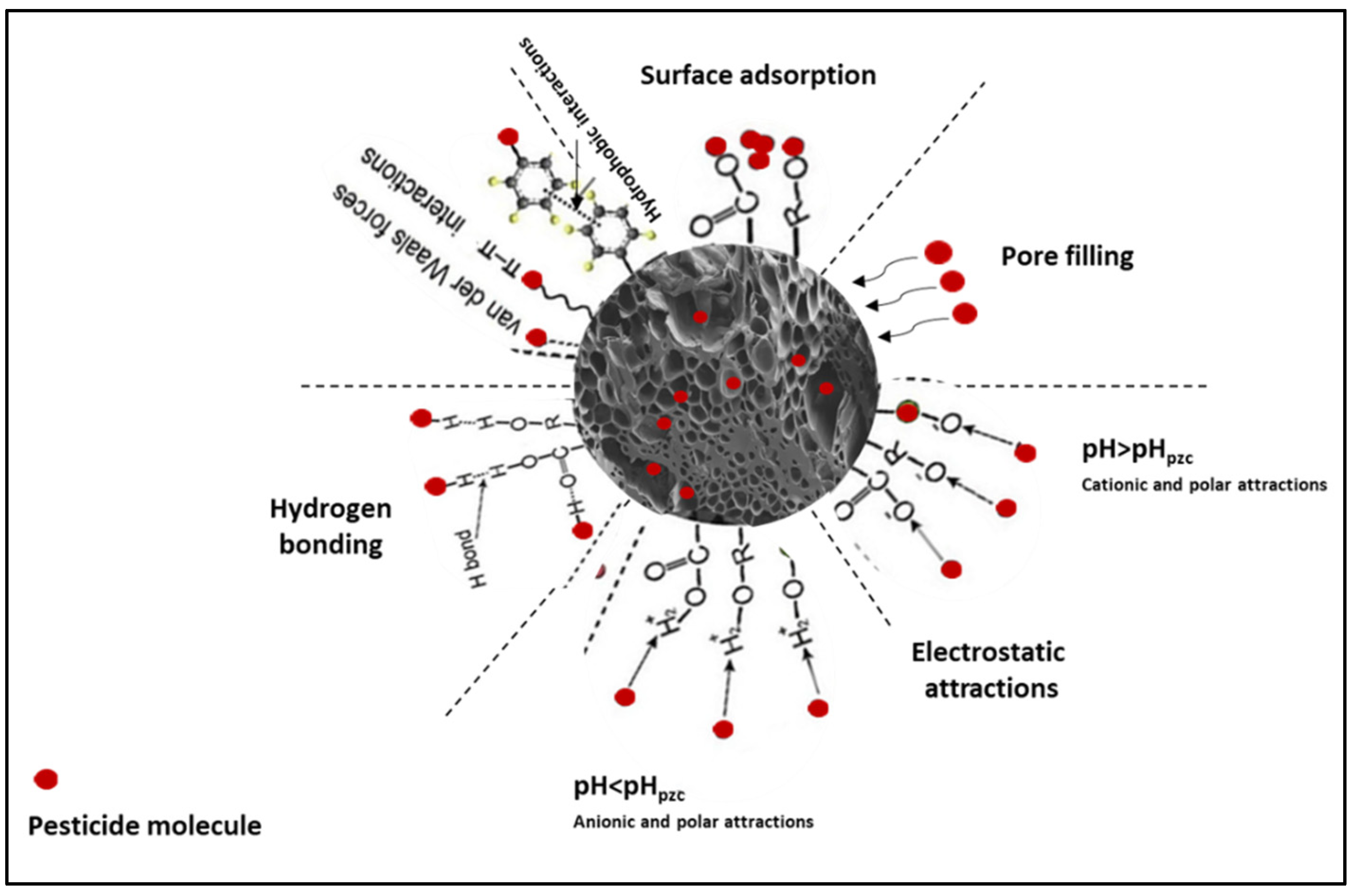 Agriculture 12 01579 g004 Agriculture 12 01579 g004