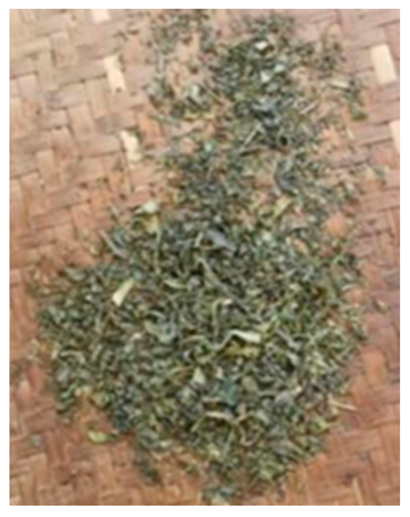 Agriculture 12 01584 g014