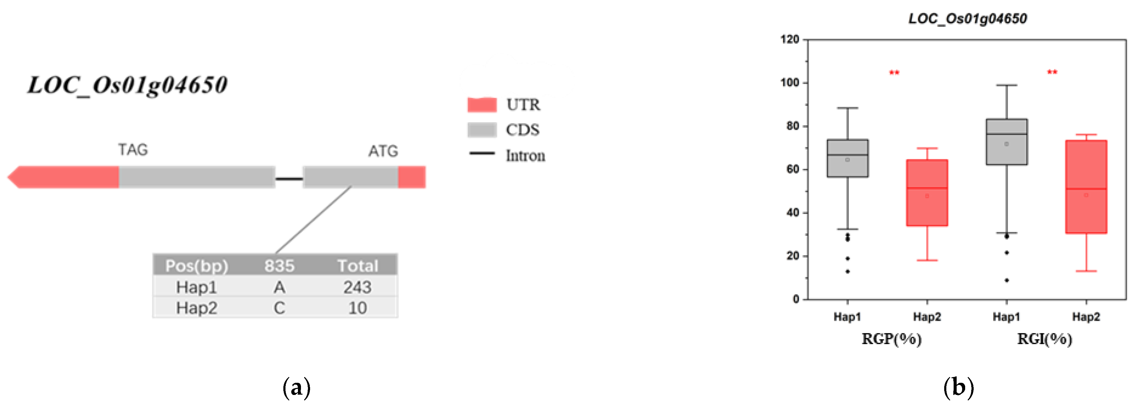 Agriculture 12 01588 g005a Agriculture 12 01588 g005a