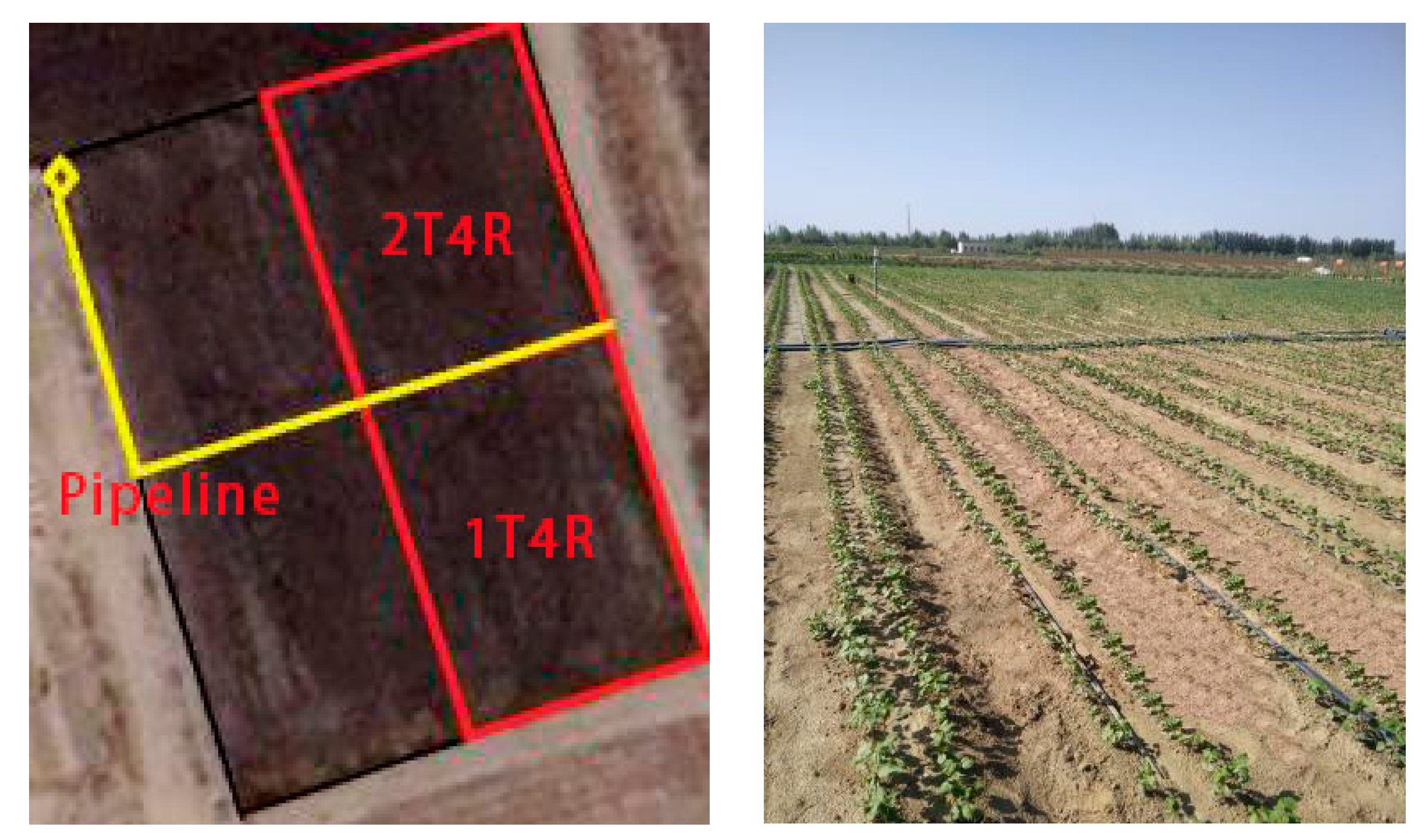 Agriculture 12 01589 g001