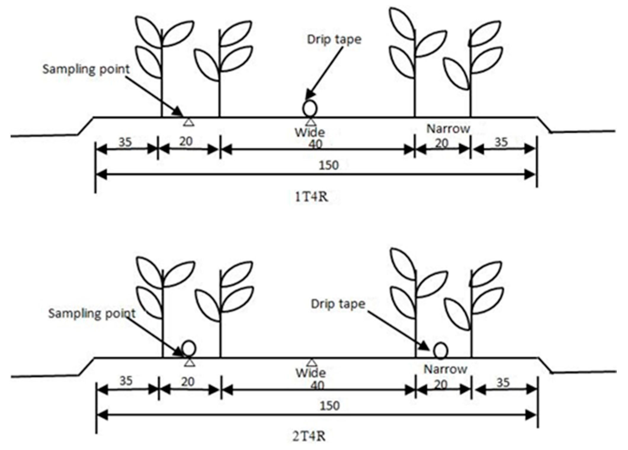 Agriculture 12 01589 g002