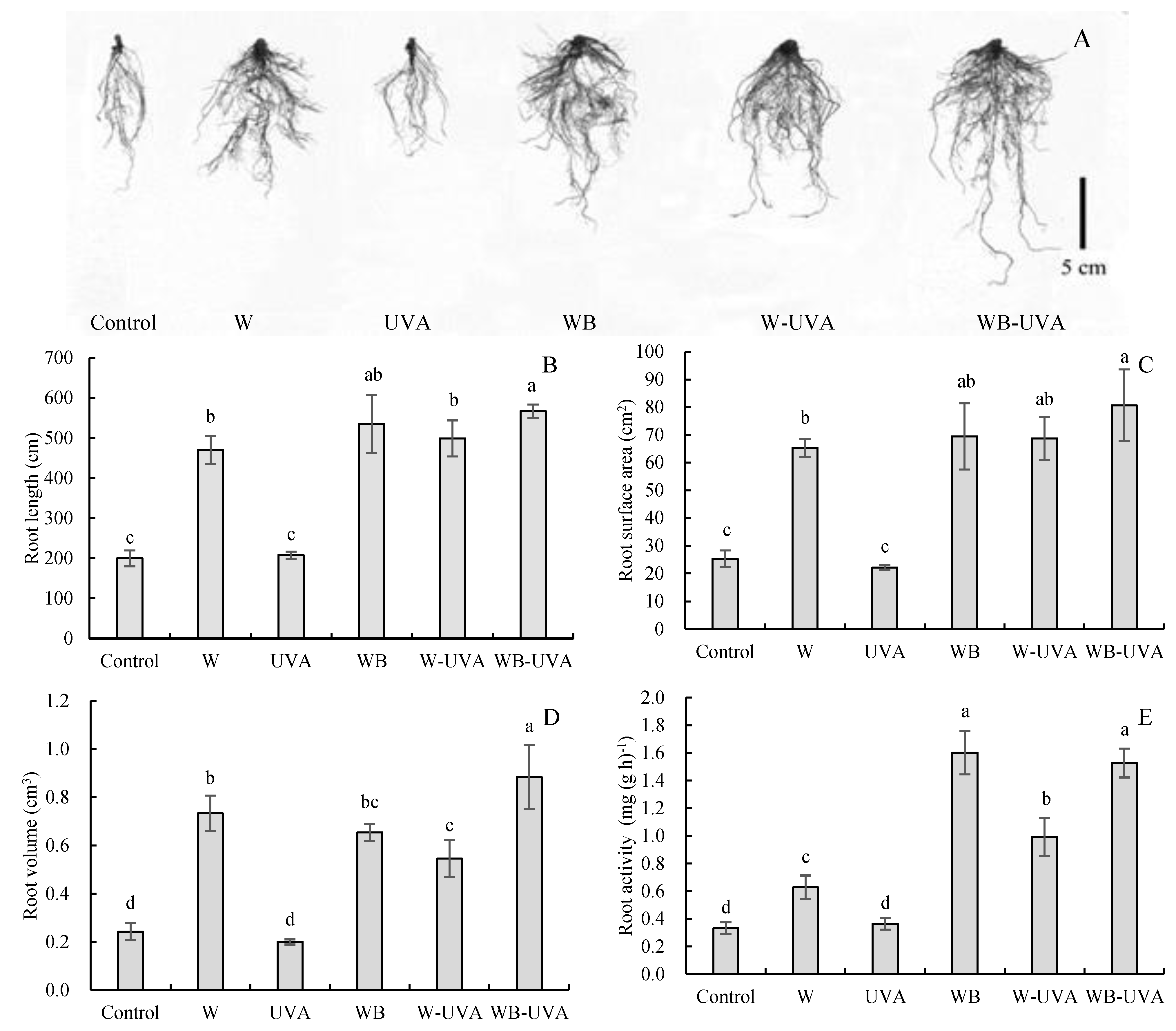 Agriculture 12 01593 g001 Agriculture 12 01593 g001
